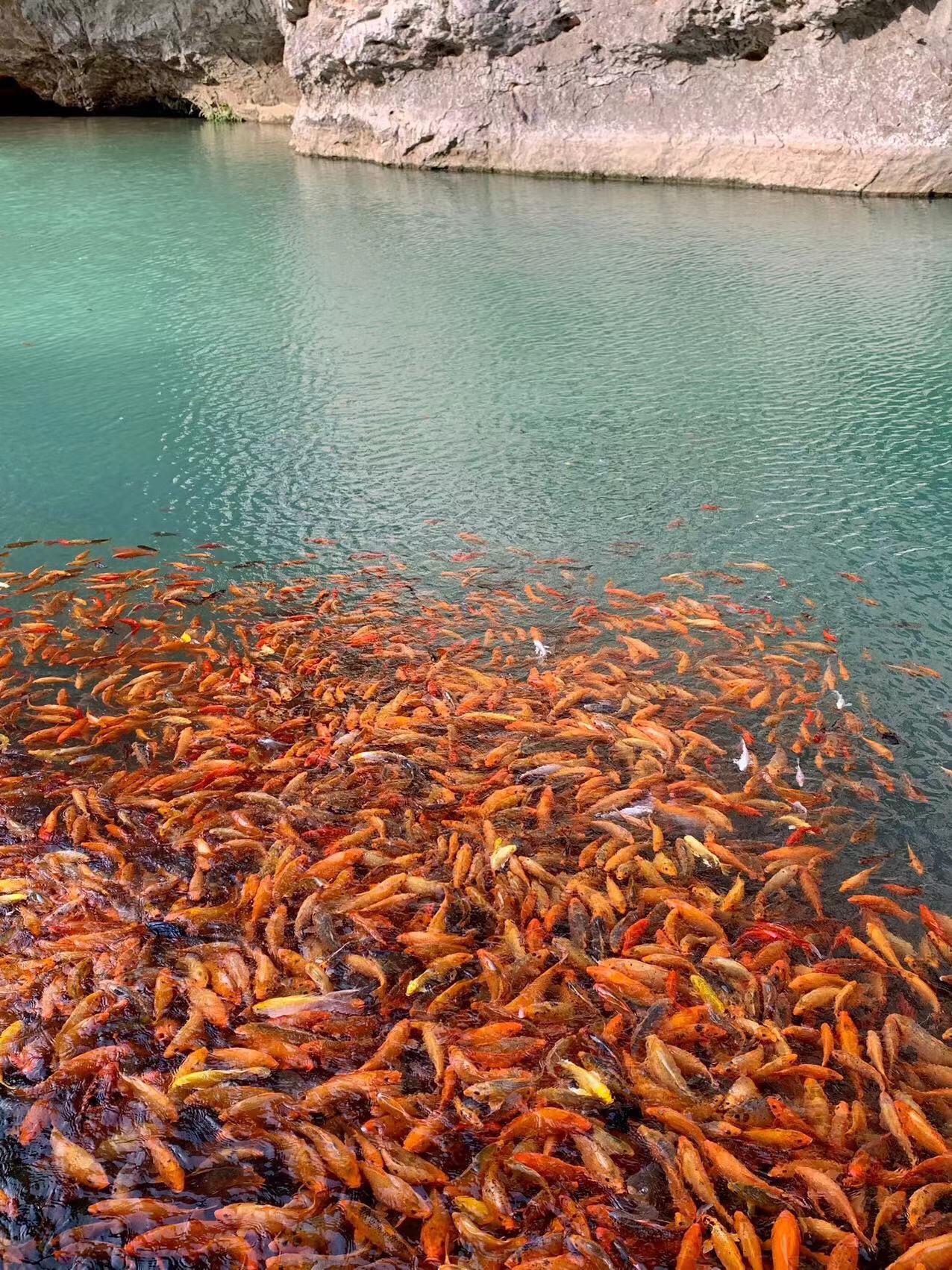 楠溪江风景名胜区旅行图片 3