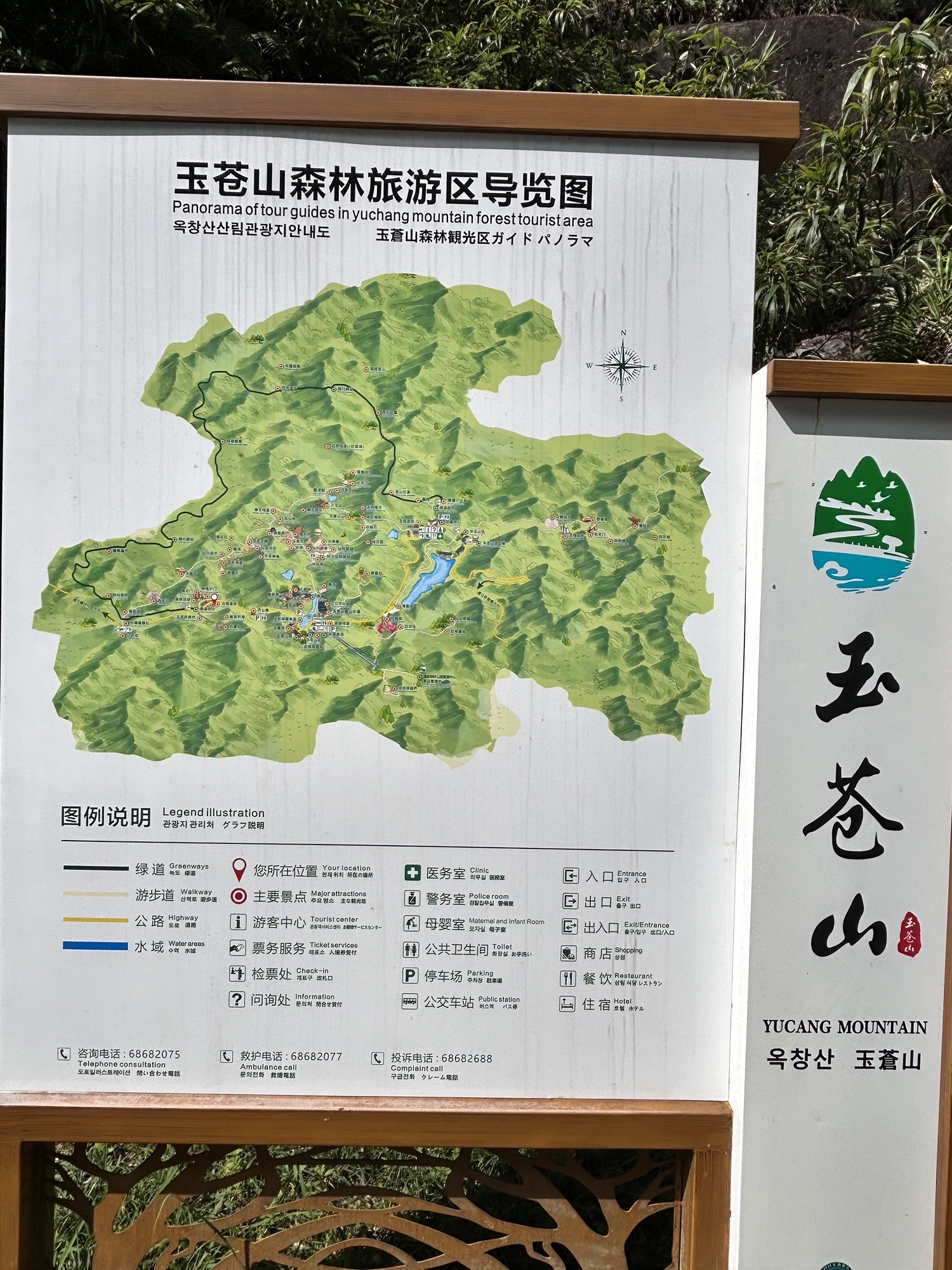 玉苍山国家森林公园旅行图片 2