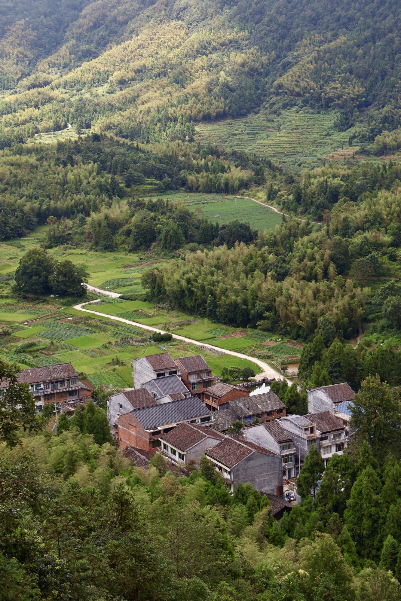 玉苍山国家森林公园旅行图片 3