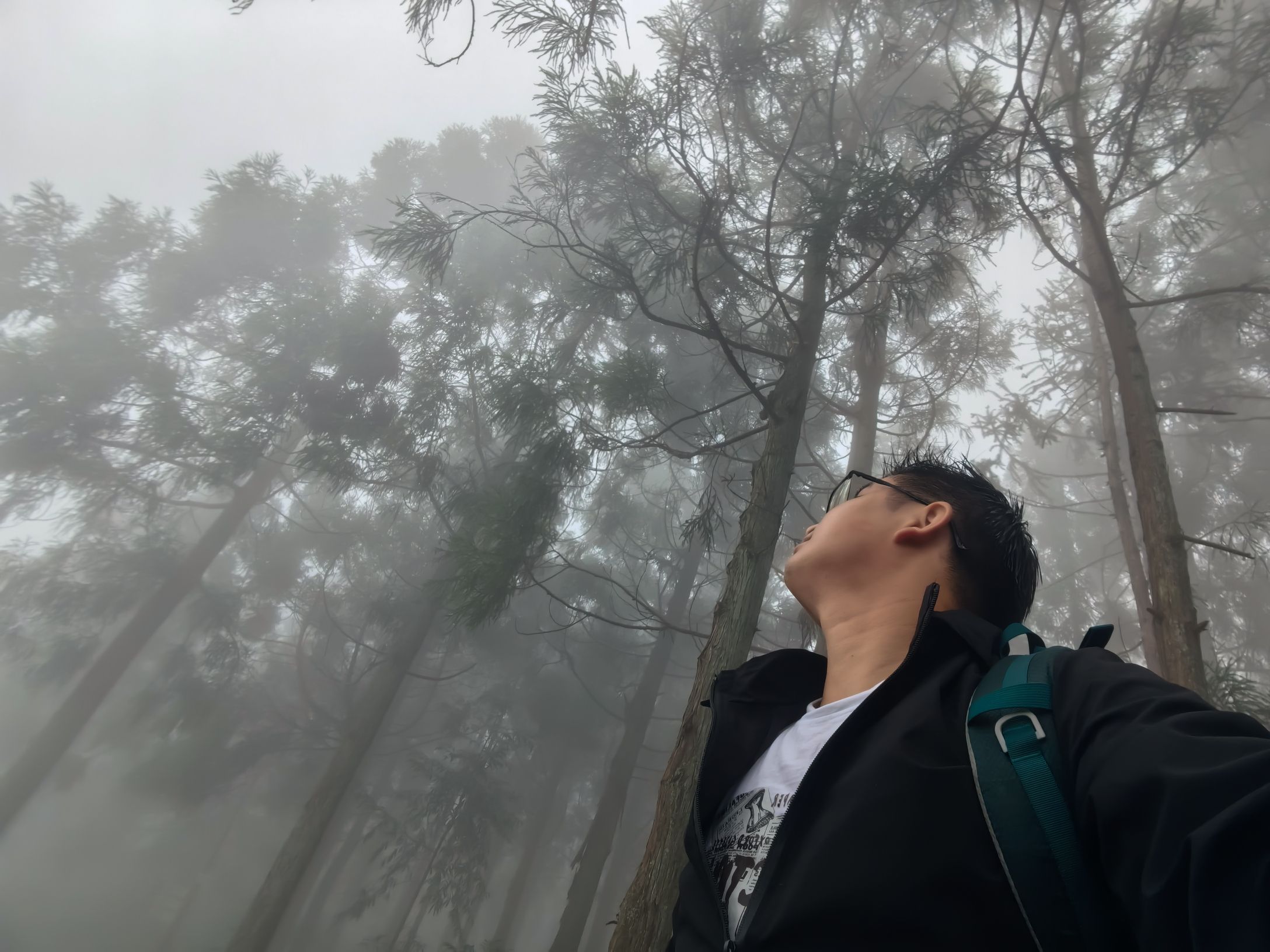 玉苍山国家森林公园旅行图片 3
