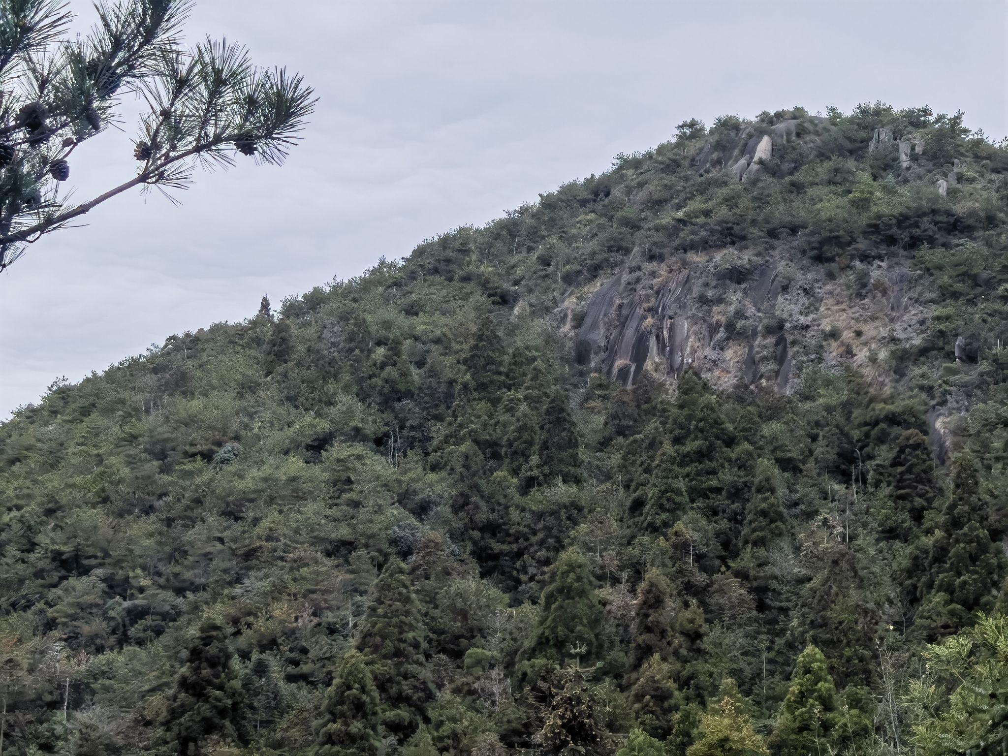 玉苍山国家森林公园旅行图片 1