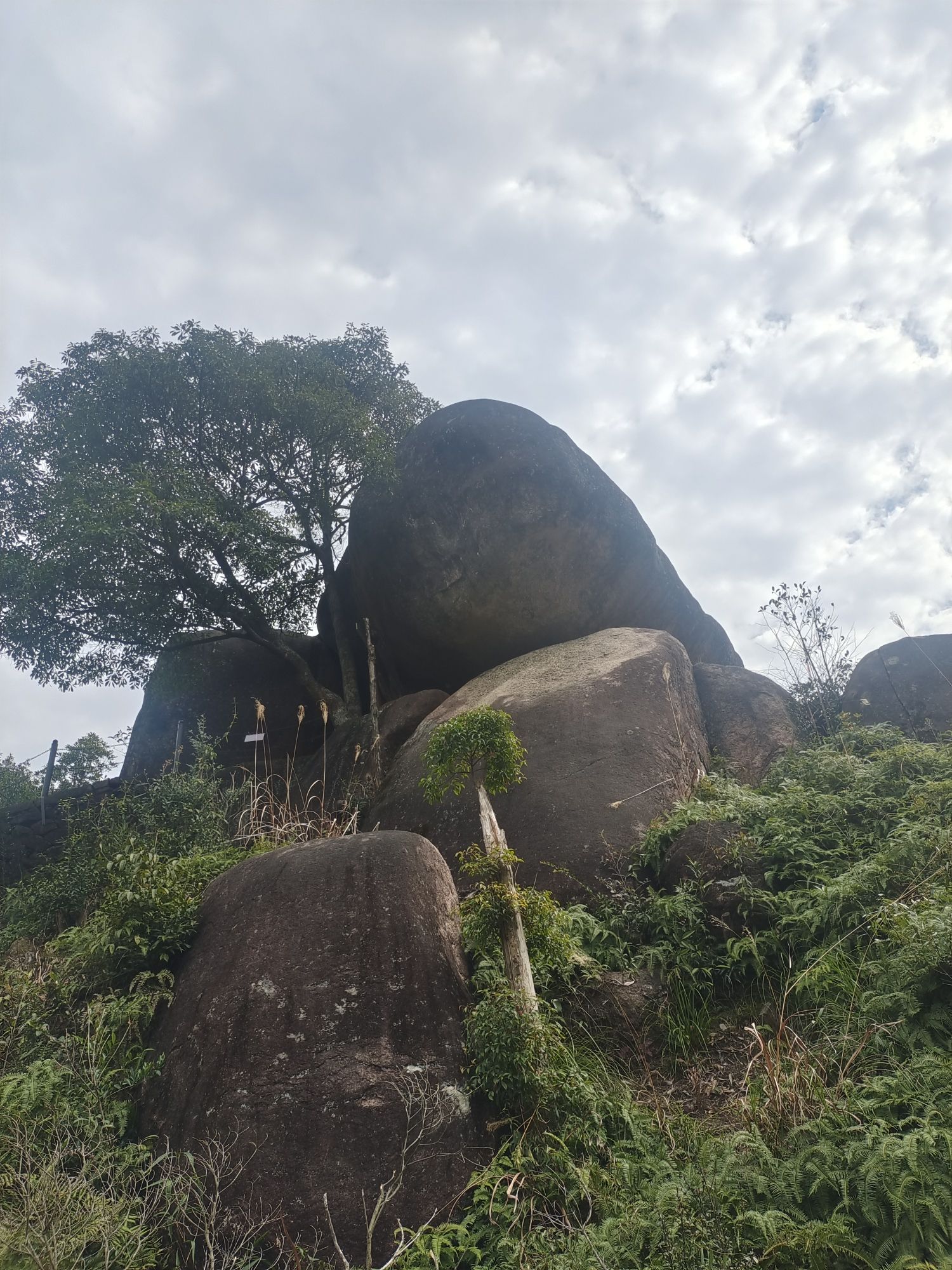 石聚堂风景区旅行图片 2