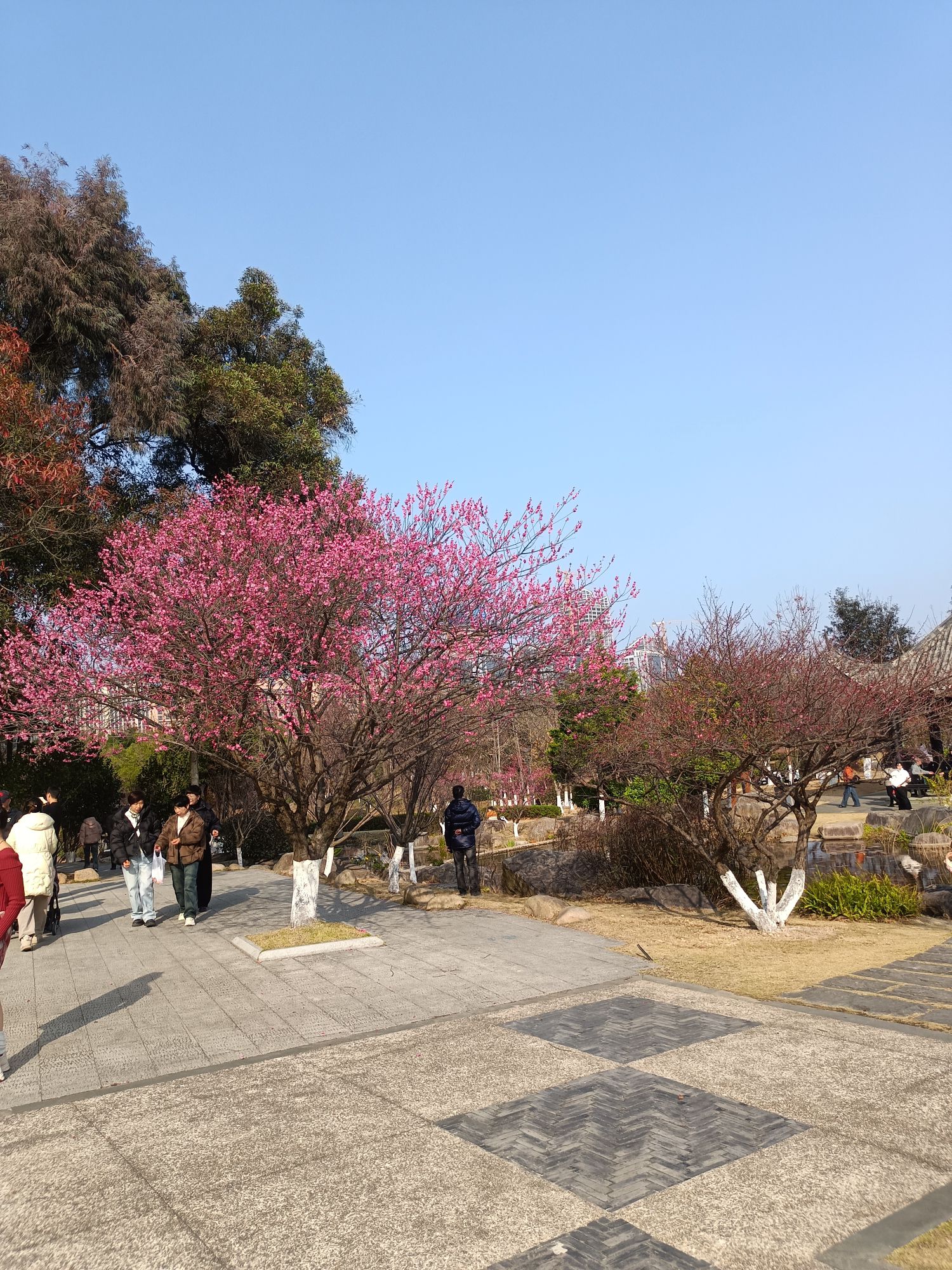 杨府山公园旅行图片 1