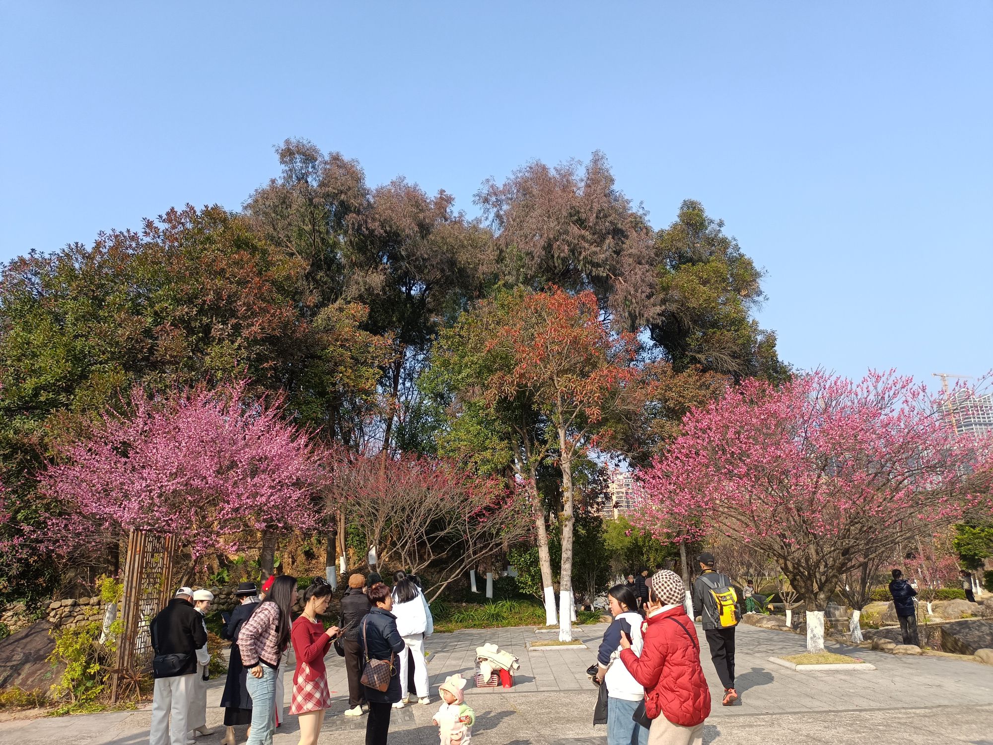 杨府山公园旅行图片 3