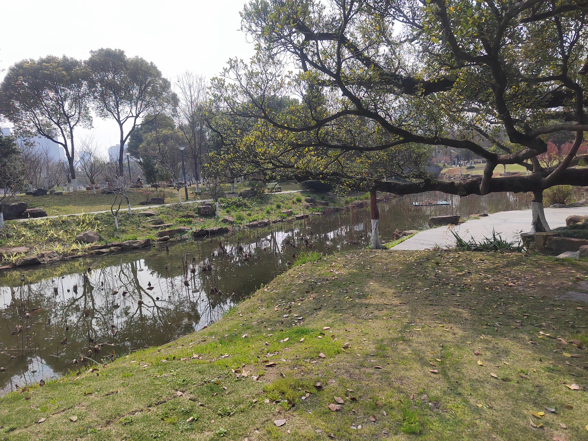 杨府山公园旅行图片 3