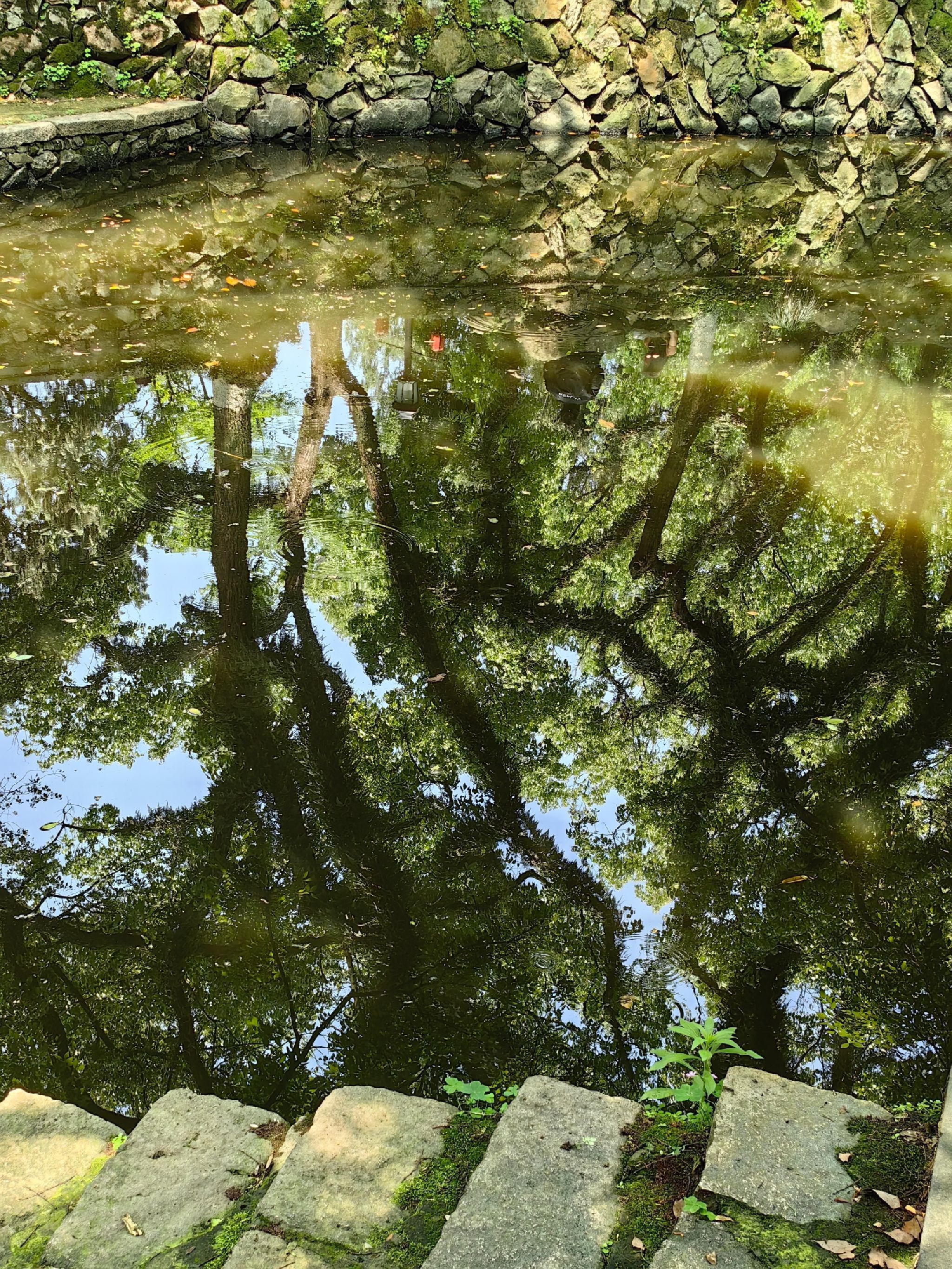 中山公园旅行图片 1