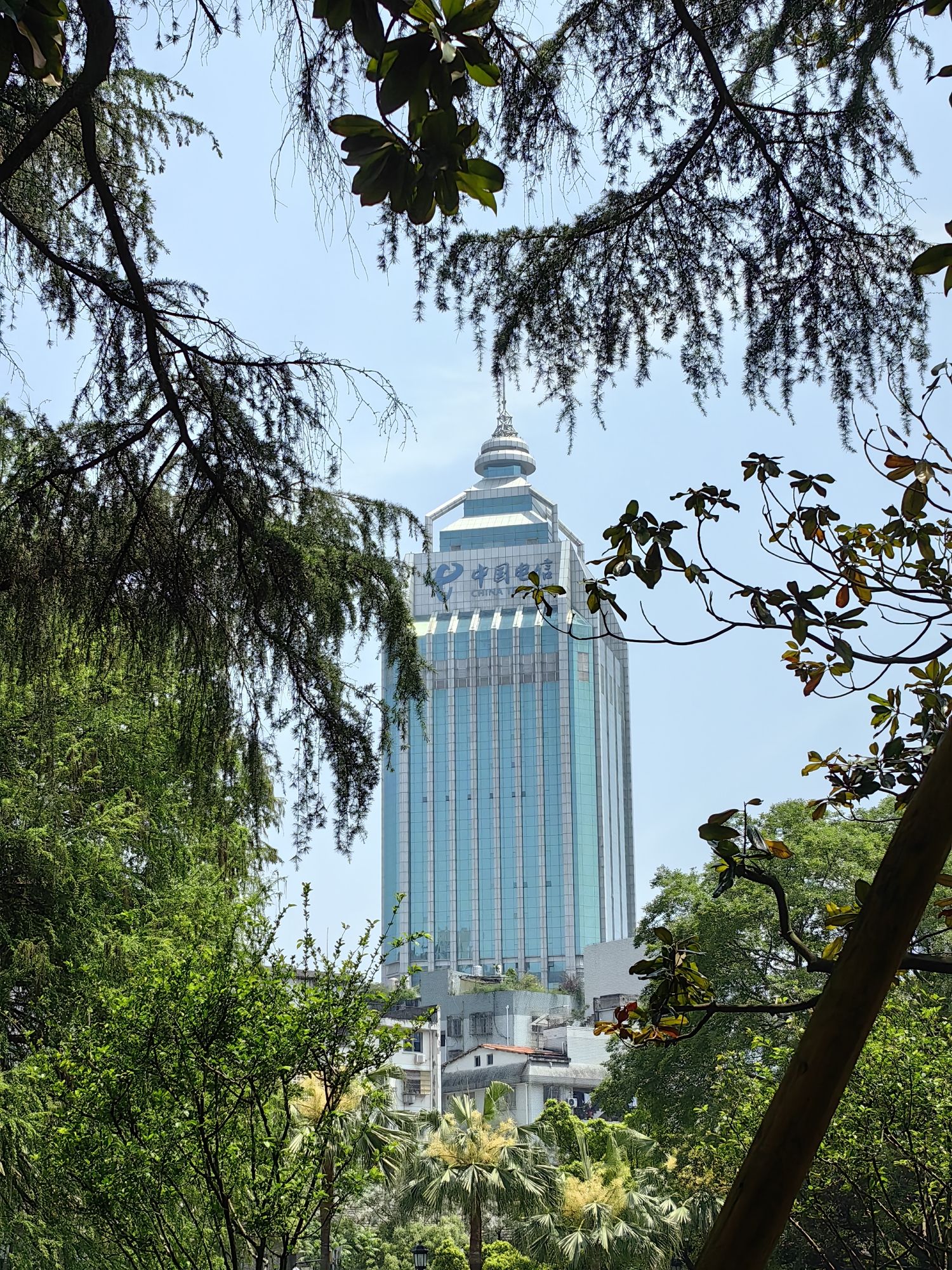 中山公园旅行图片 2