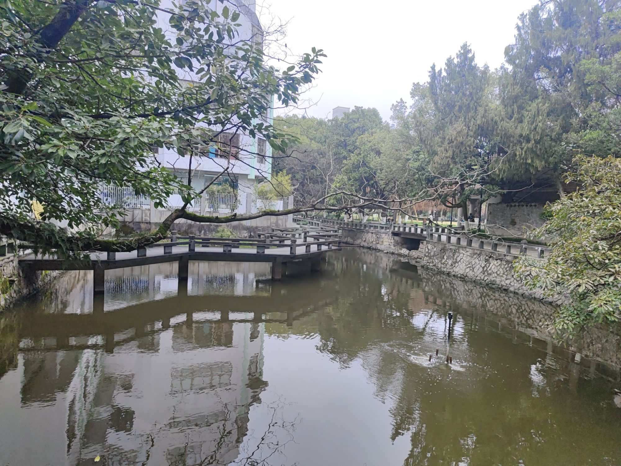 中山公园旅行图片 2