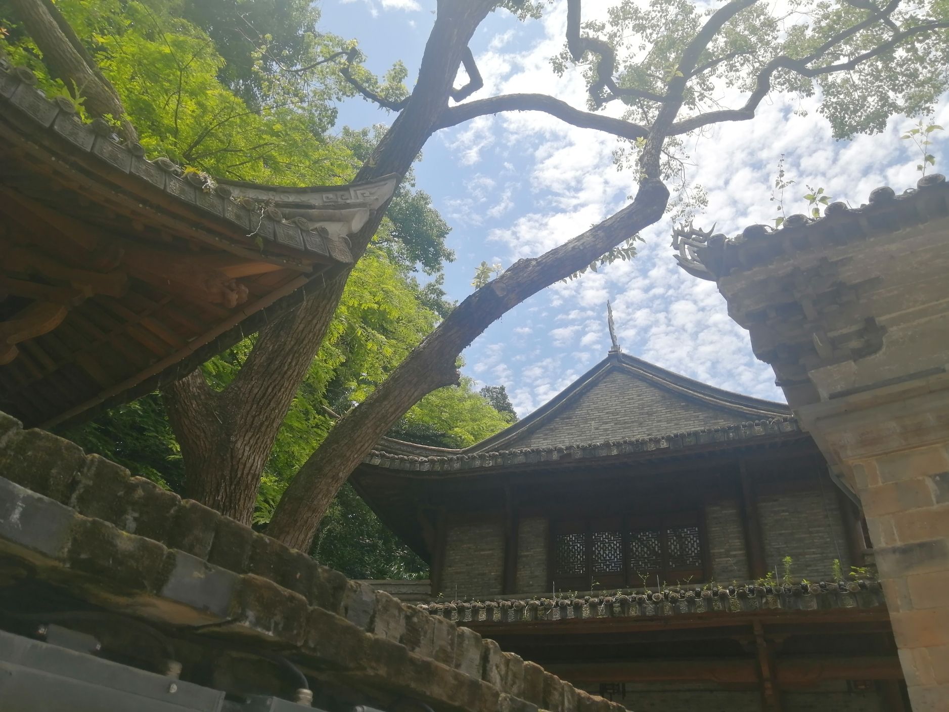 中山公园旅行图片 3