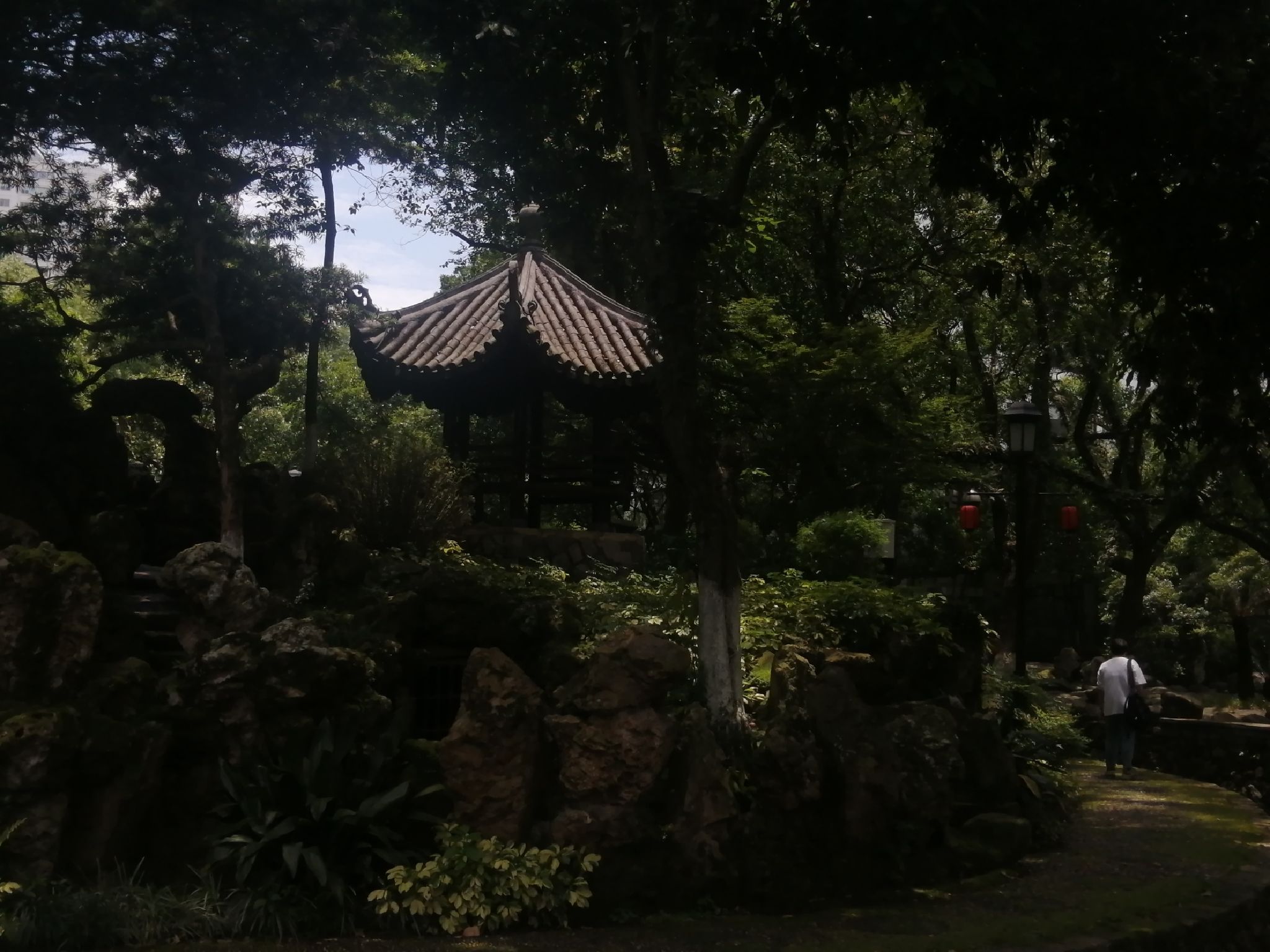 中山公园旅行图片 1