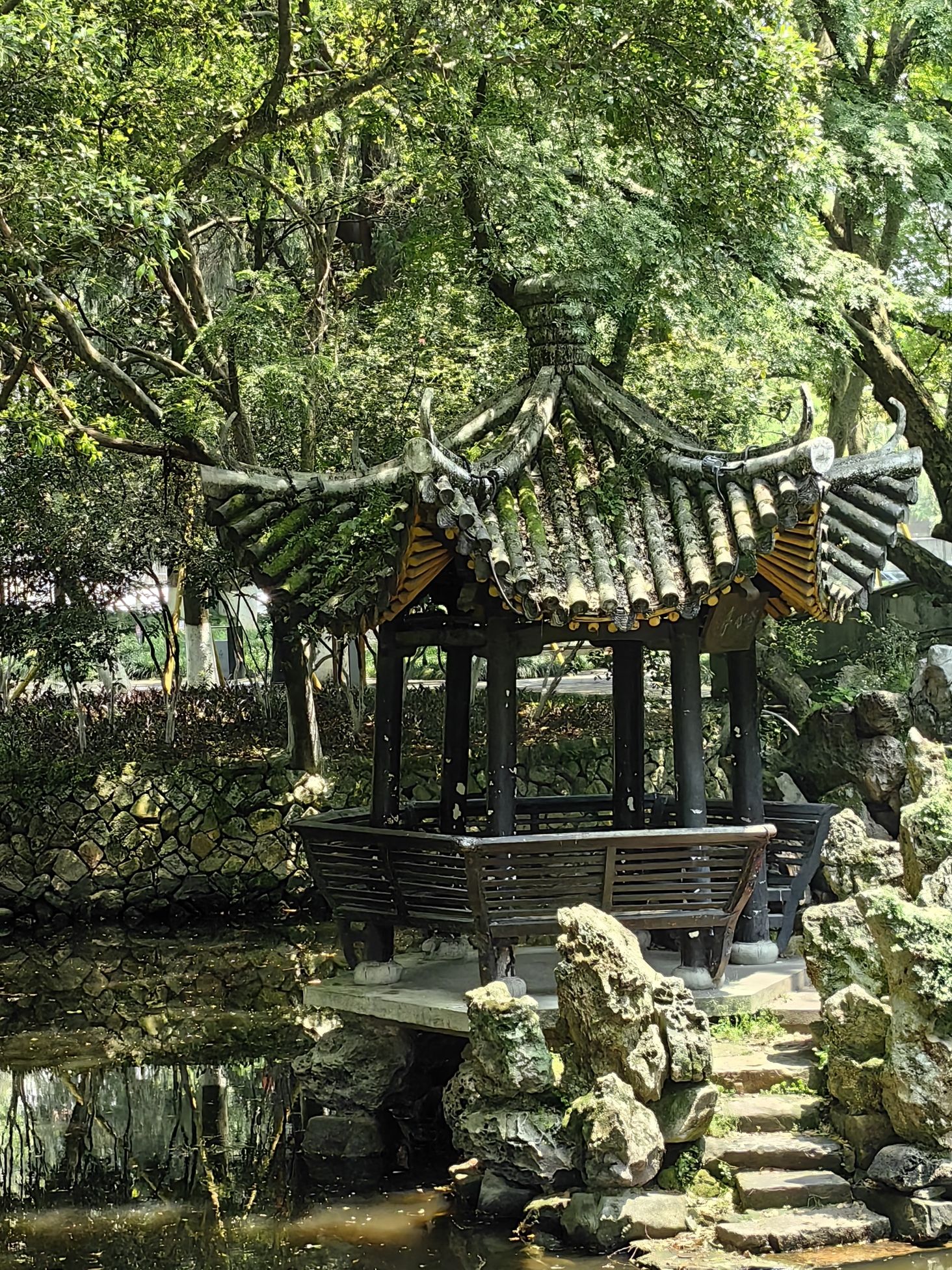 中山公园旅行图片 3