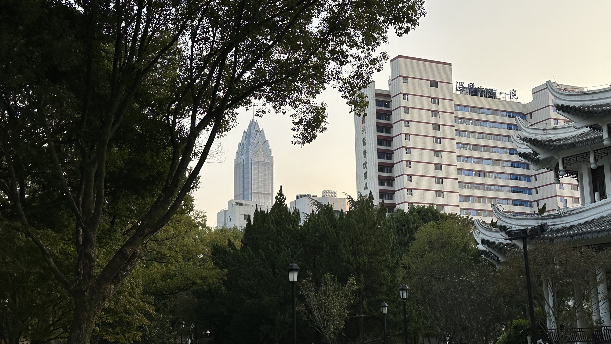 华盖公园旅行图片 2
