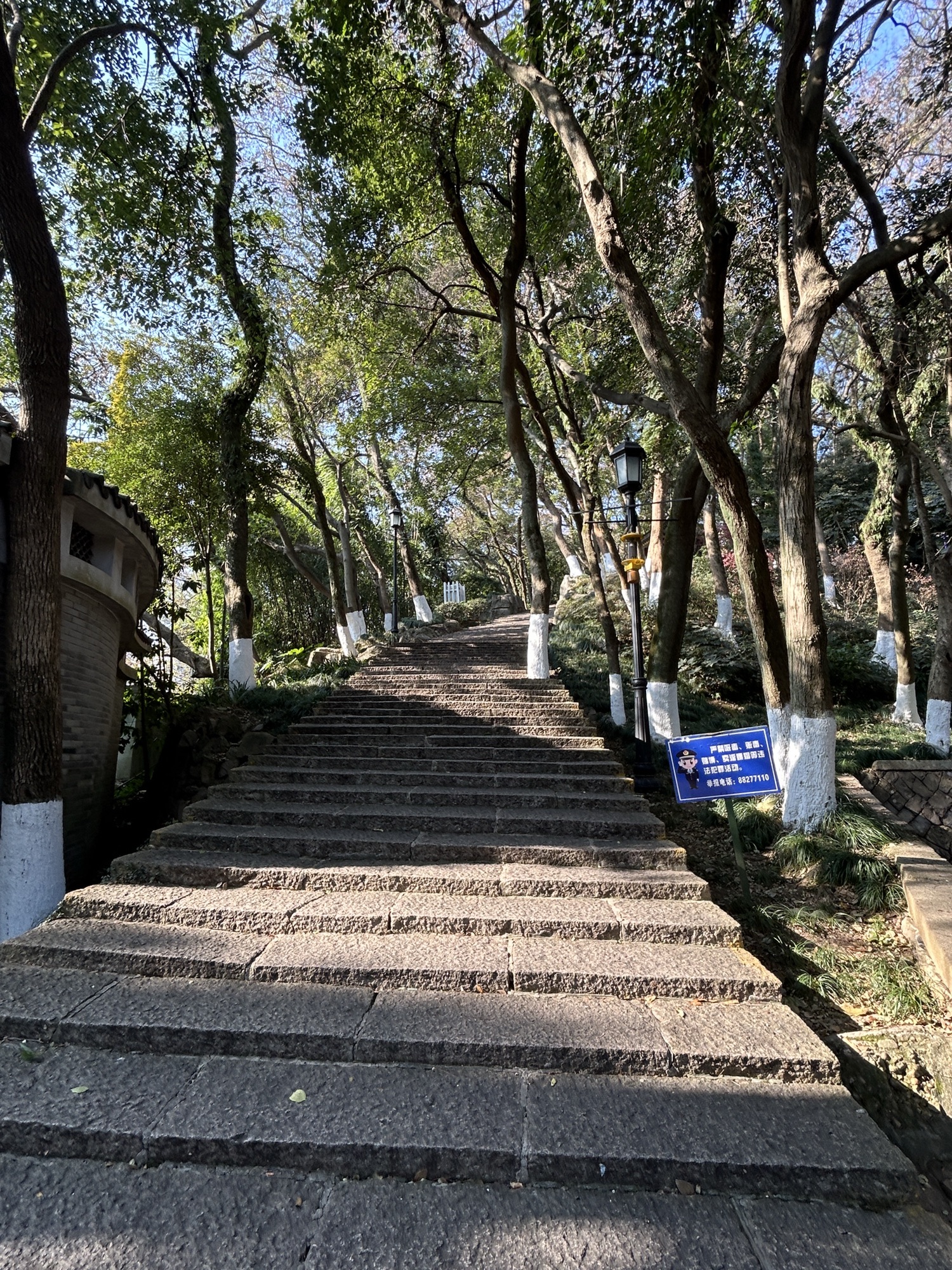 华盖公园旅行图片 3