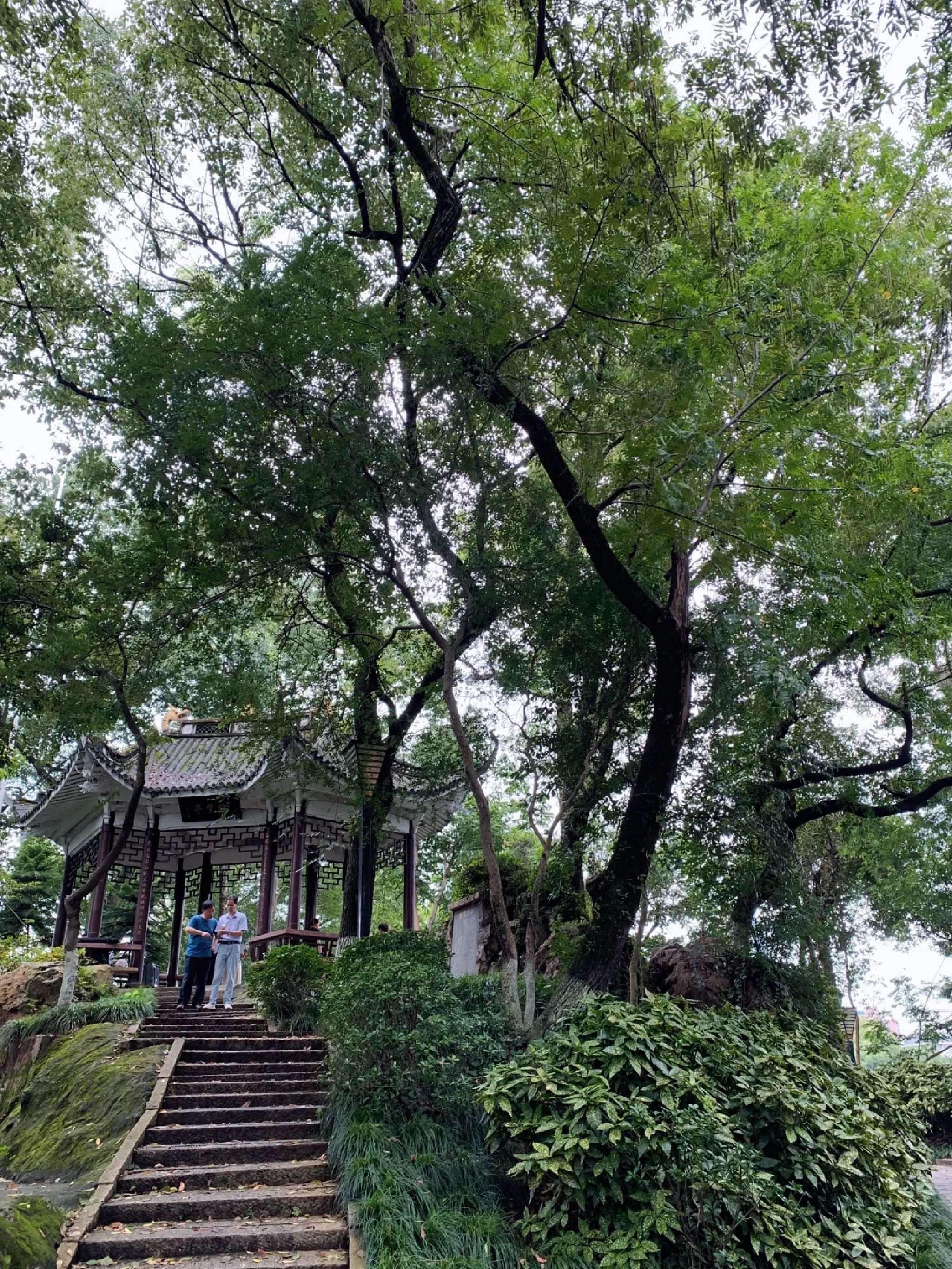 华盖公园旅行图片 2