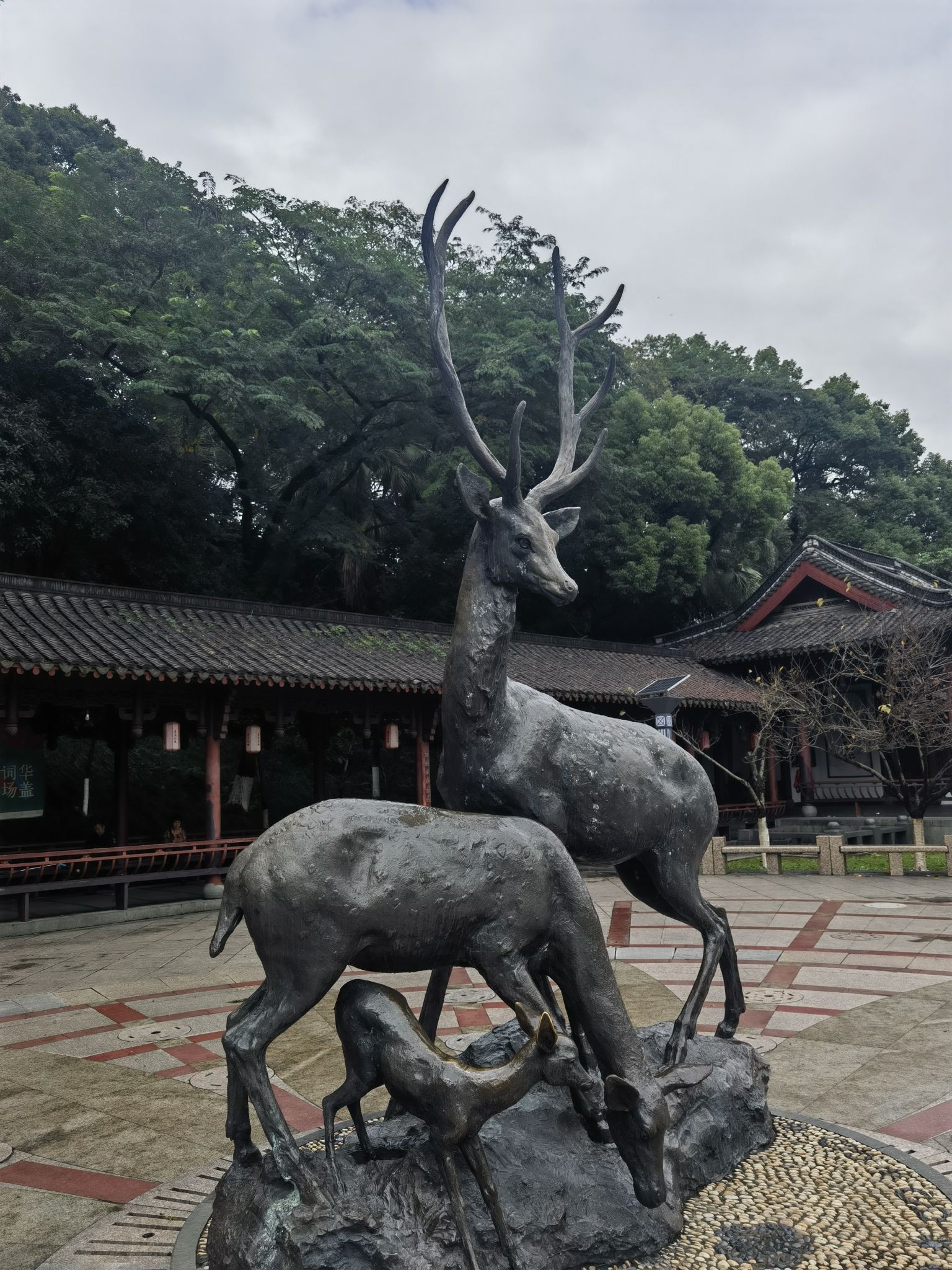 华盖公园旅行图片 2