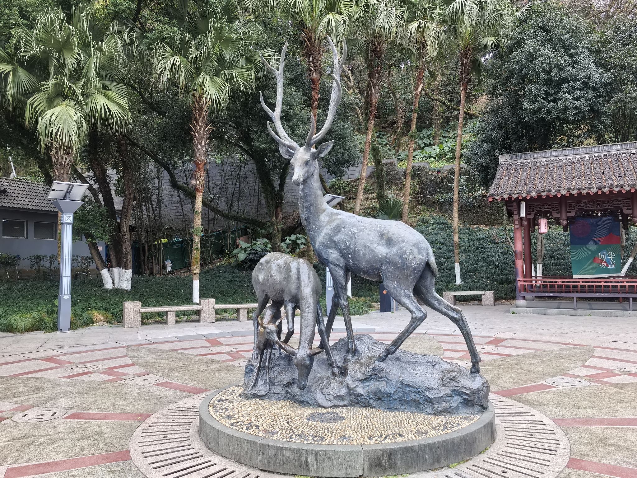 华盖公园旅行图片 2