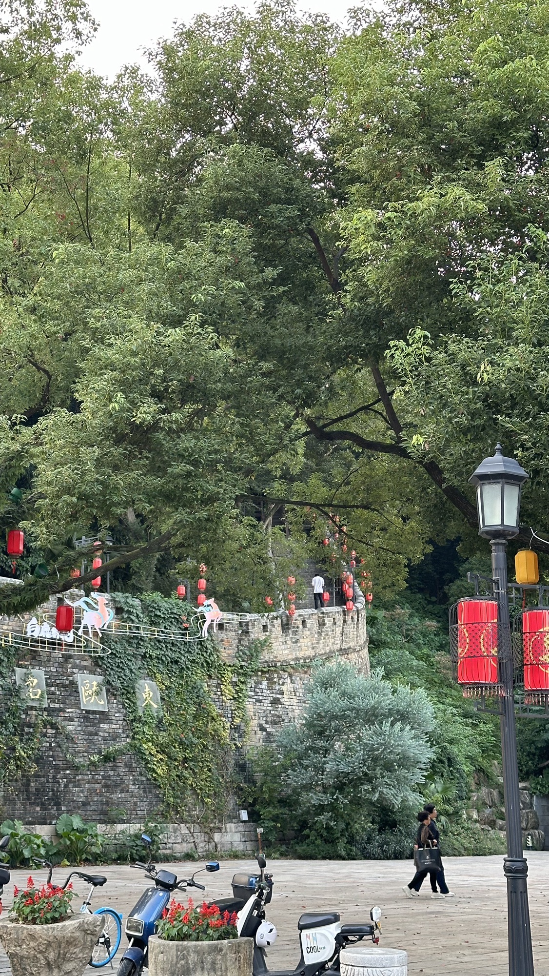 华盖公园旅行图片 1