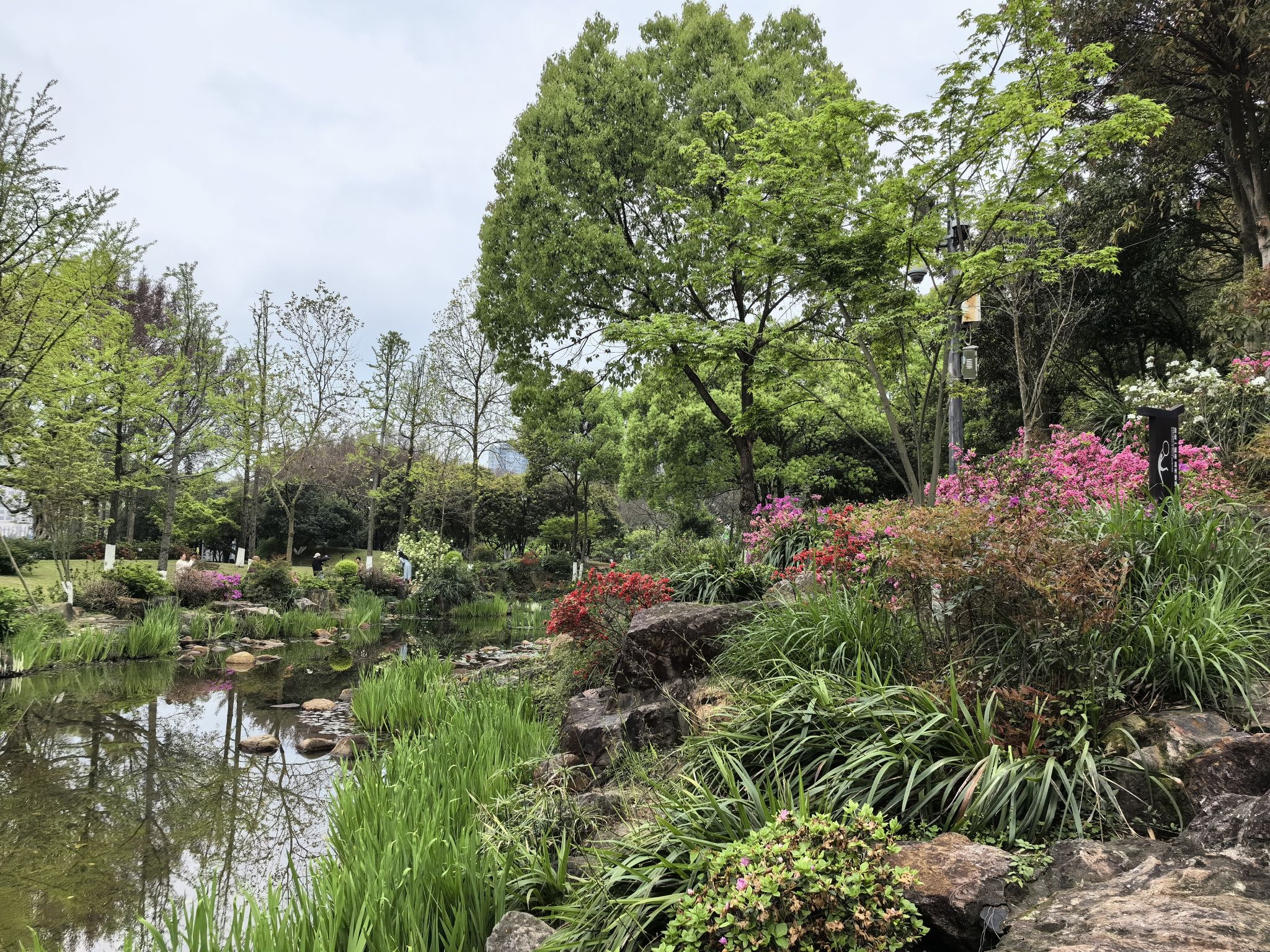 绣山公园旅行图片 2