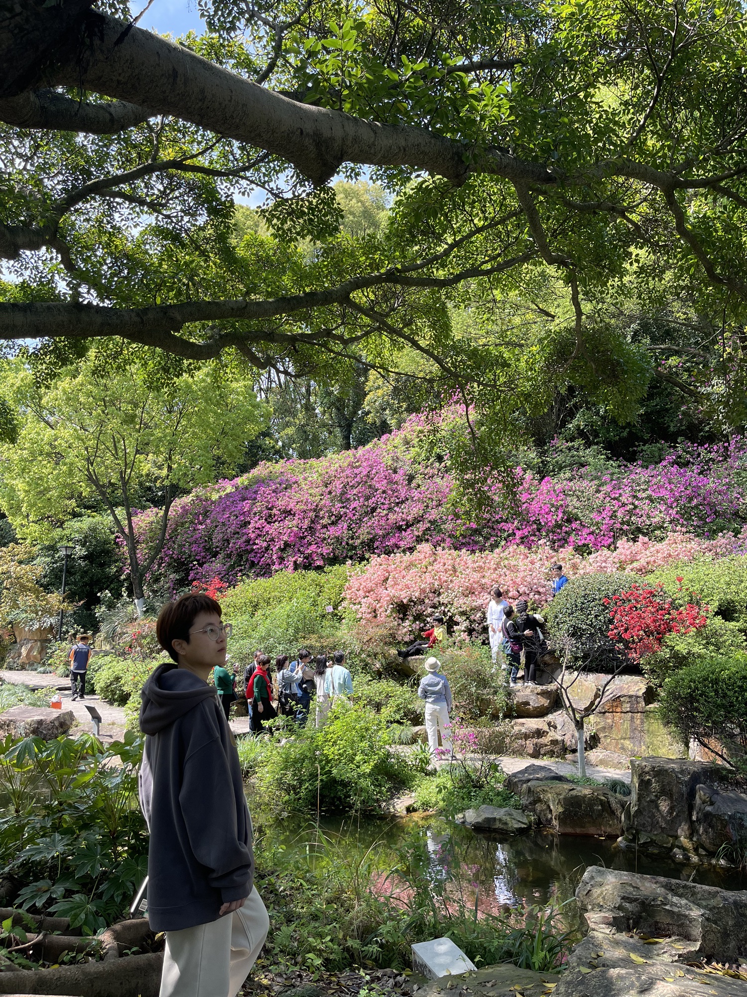 绣山公园旅行图片 3