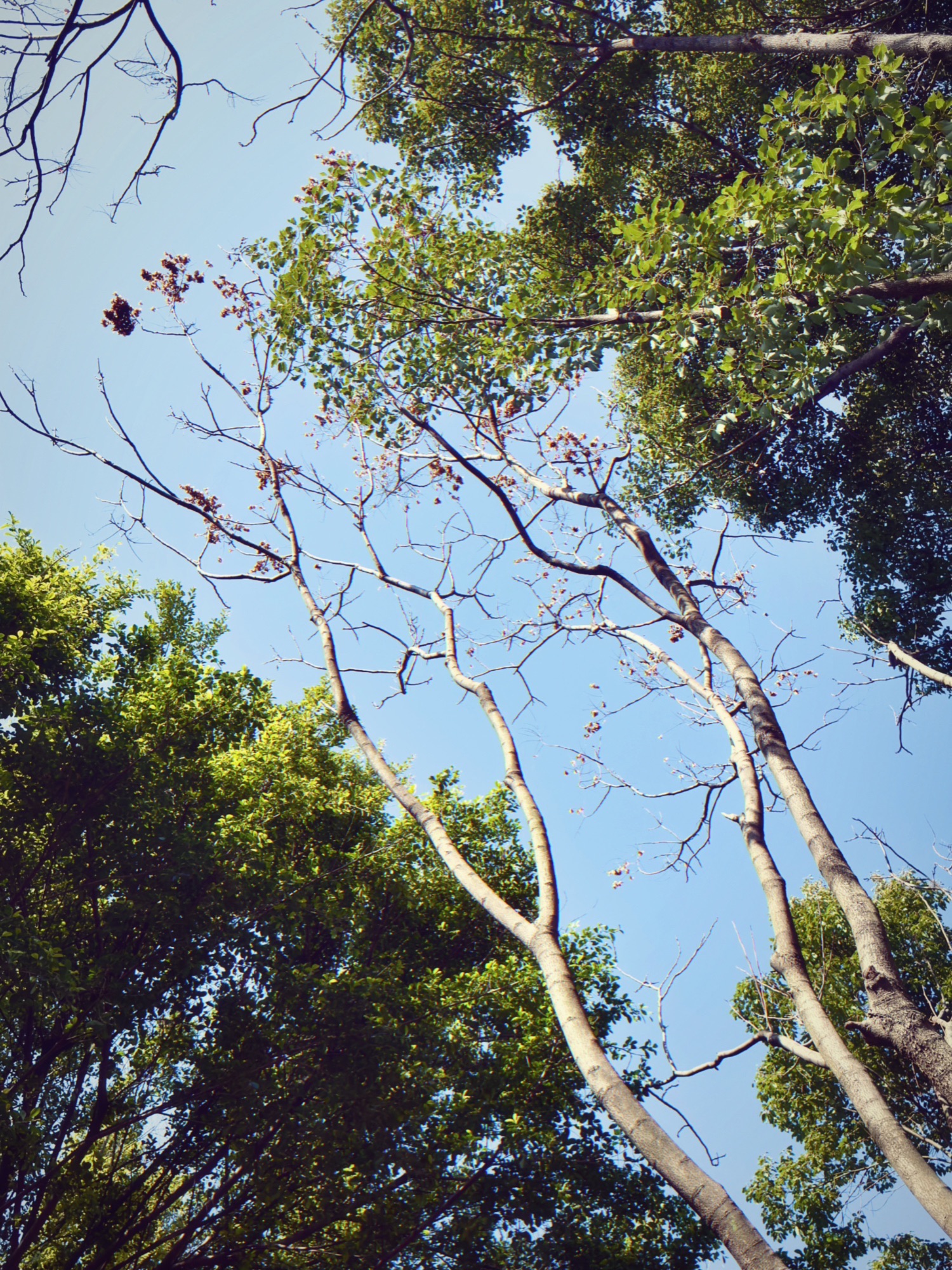 绣山公园旅行图片 2