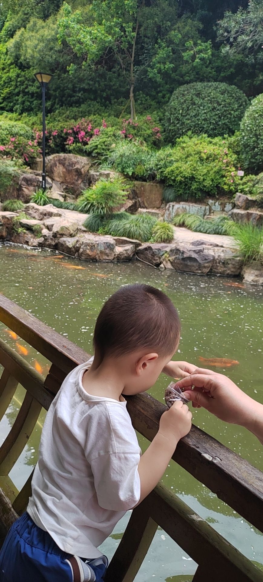 绣山公园旅行图片 2
