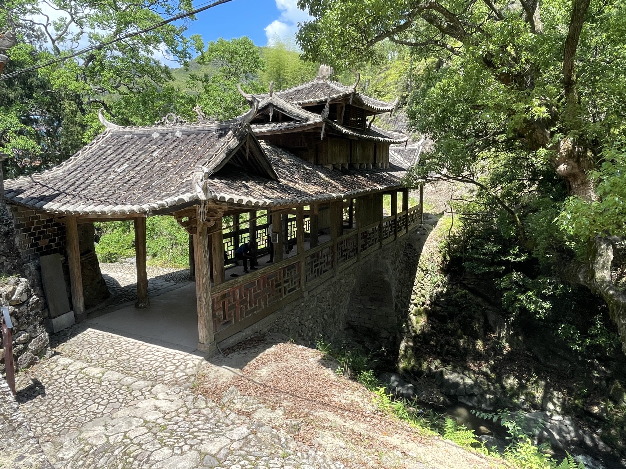 仙居桥旅行图片 1