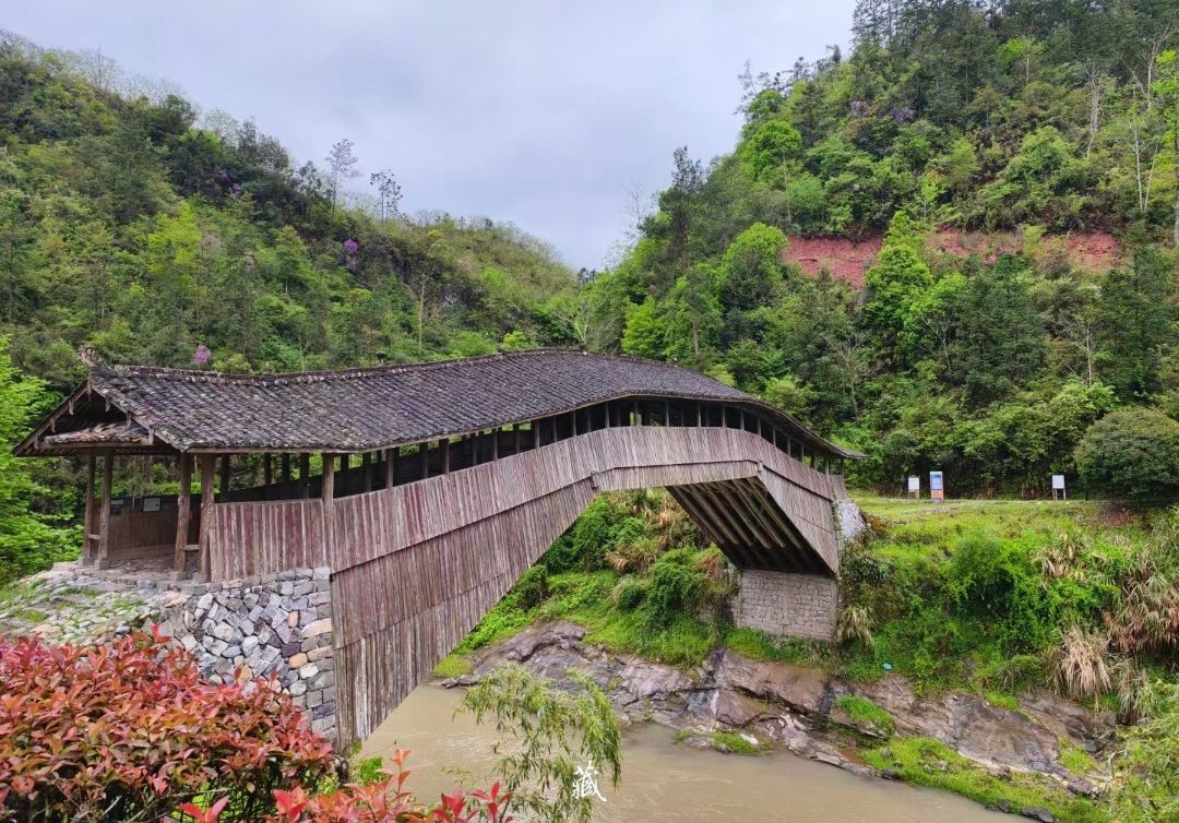 仙居桥旅行图片 3