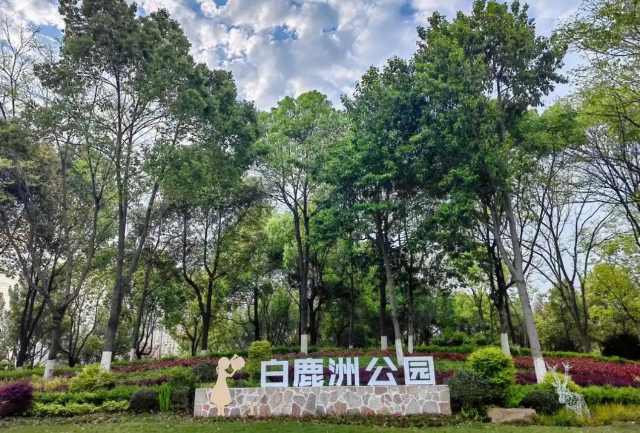 白鹿洲公园现场照片 3