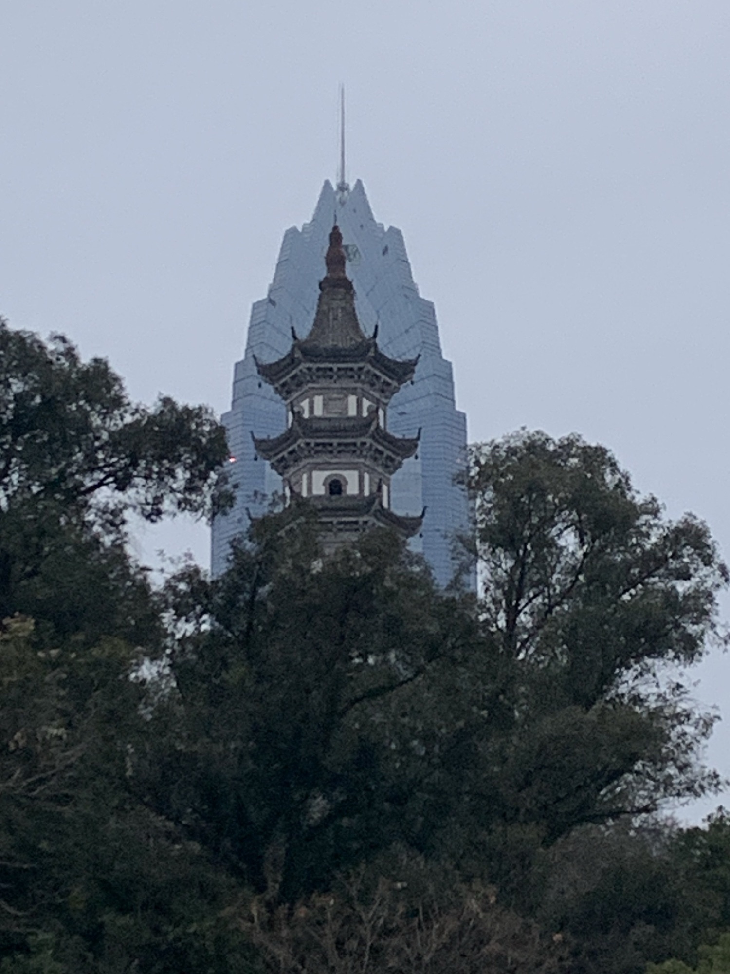 巽山公园旅行图片 3