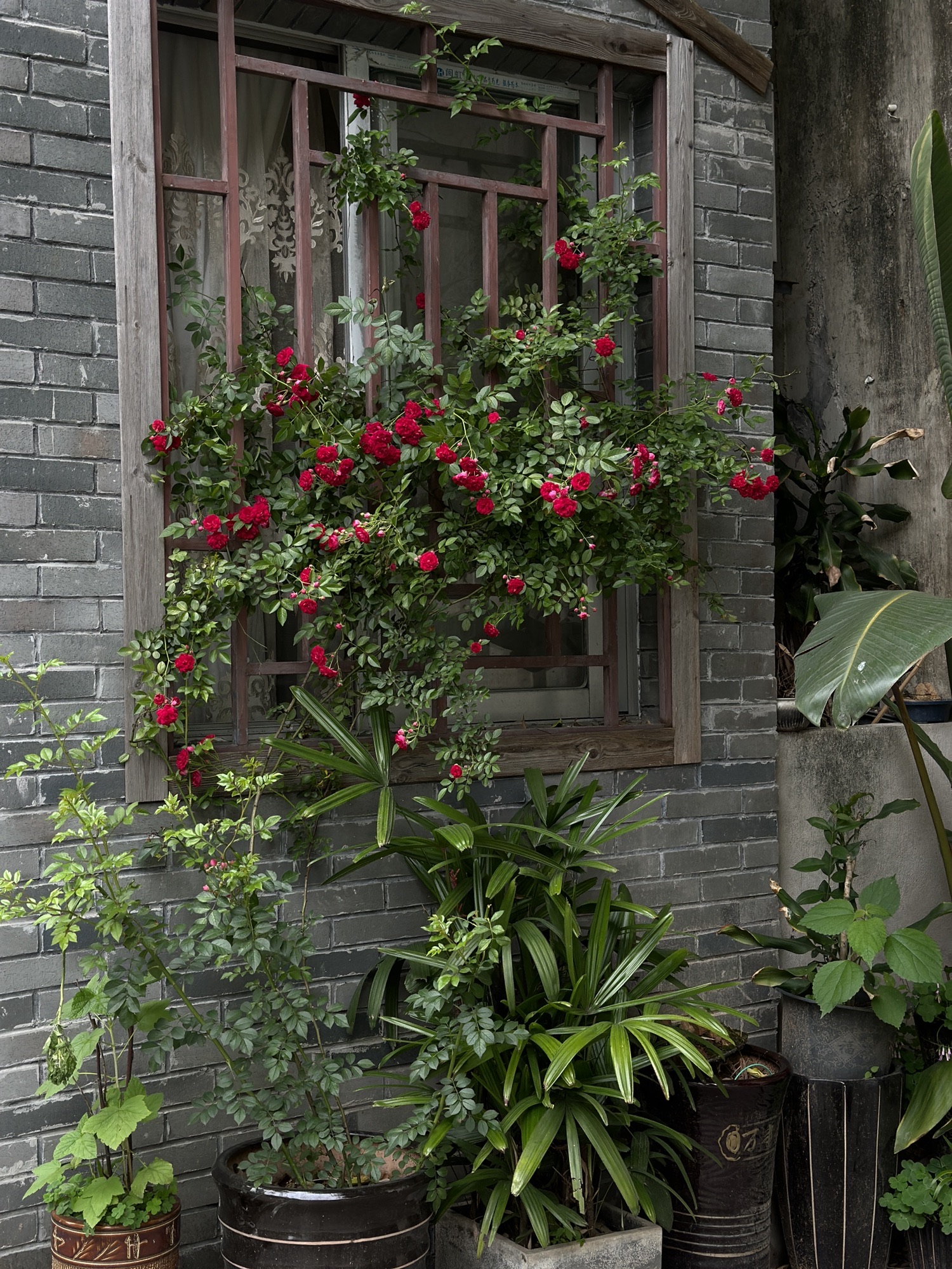 巽山公园旅行图片 1