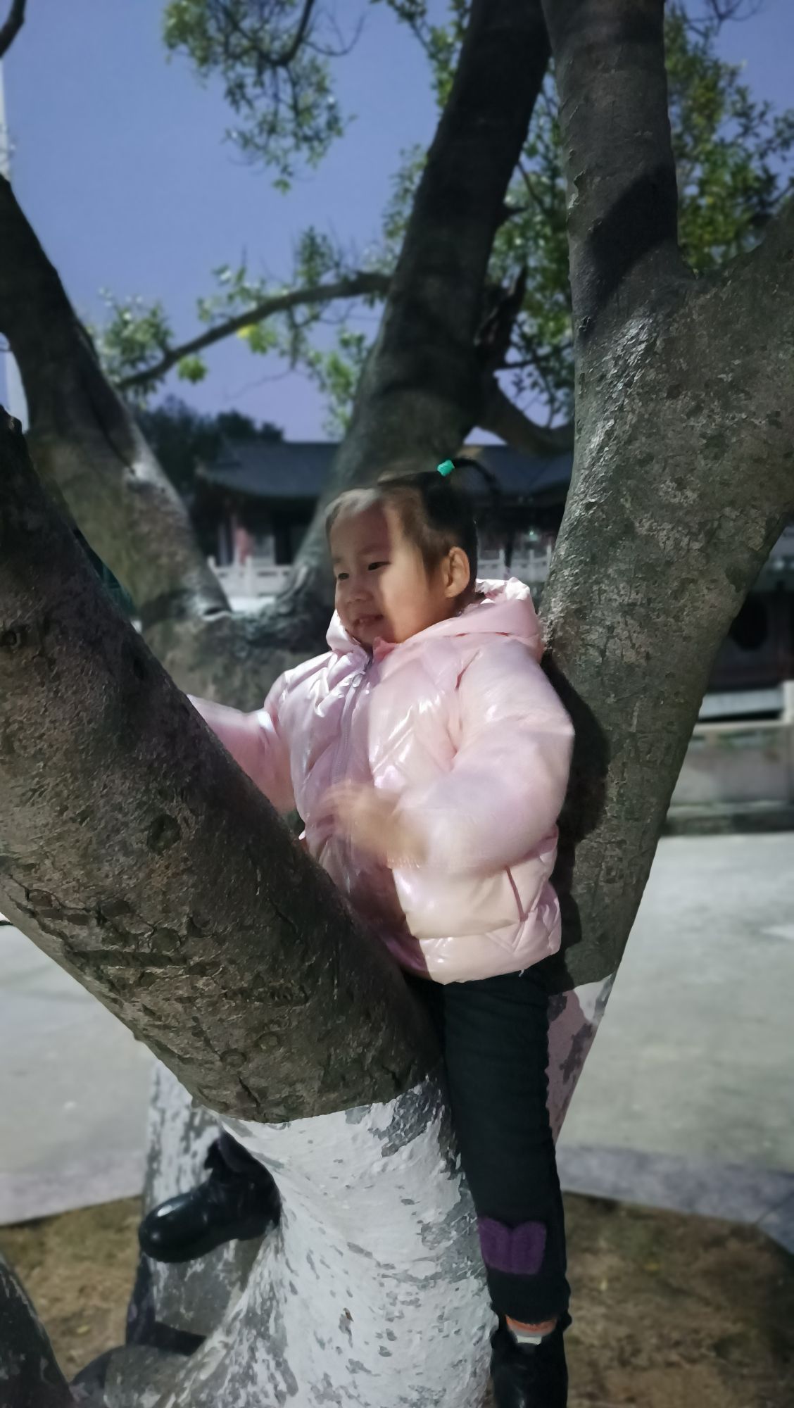 永阜公园旅行图片 1