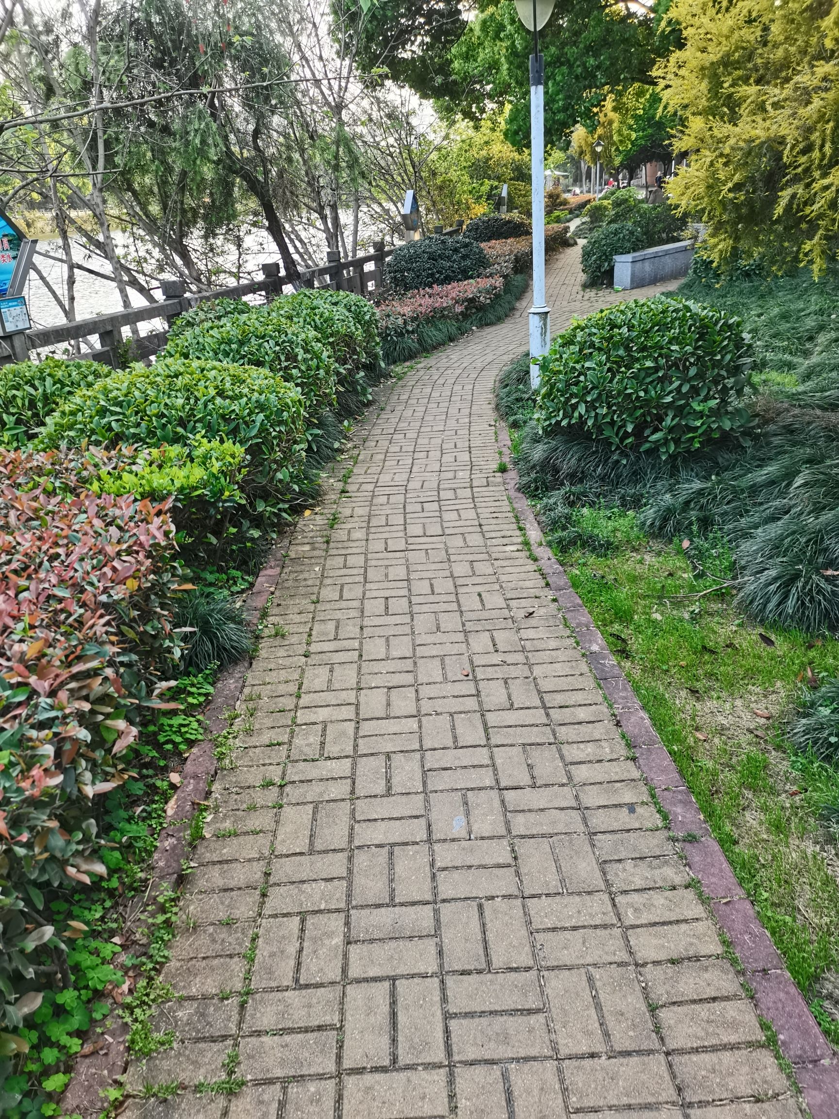 水心湾滨水公园旅行图片 3