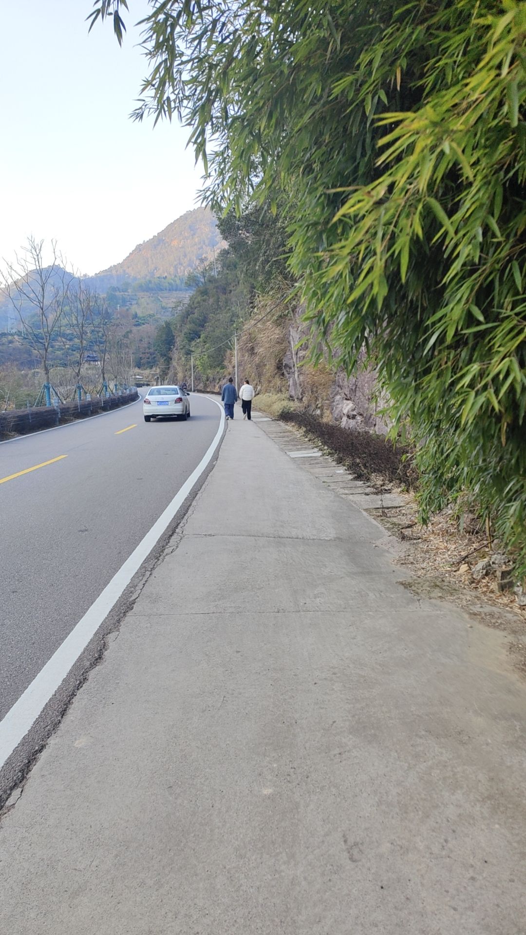 蓬溪村旅行图片 3