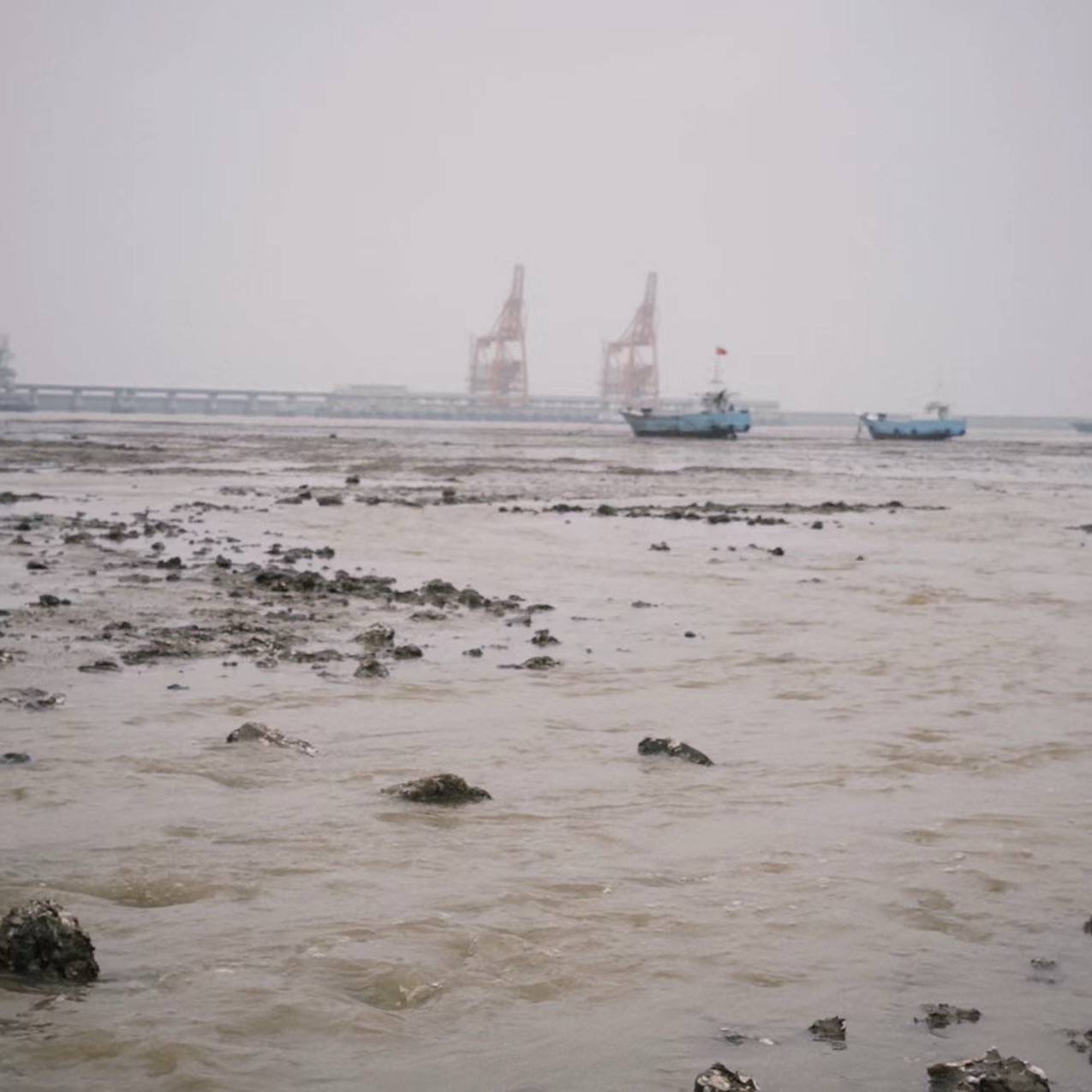 苍南县渔寮旅游区旅行图片 2