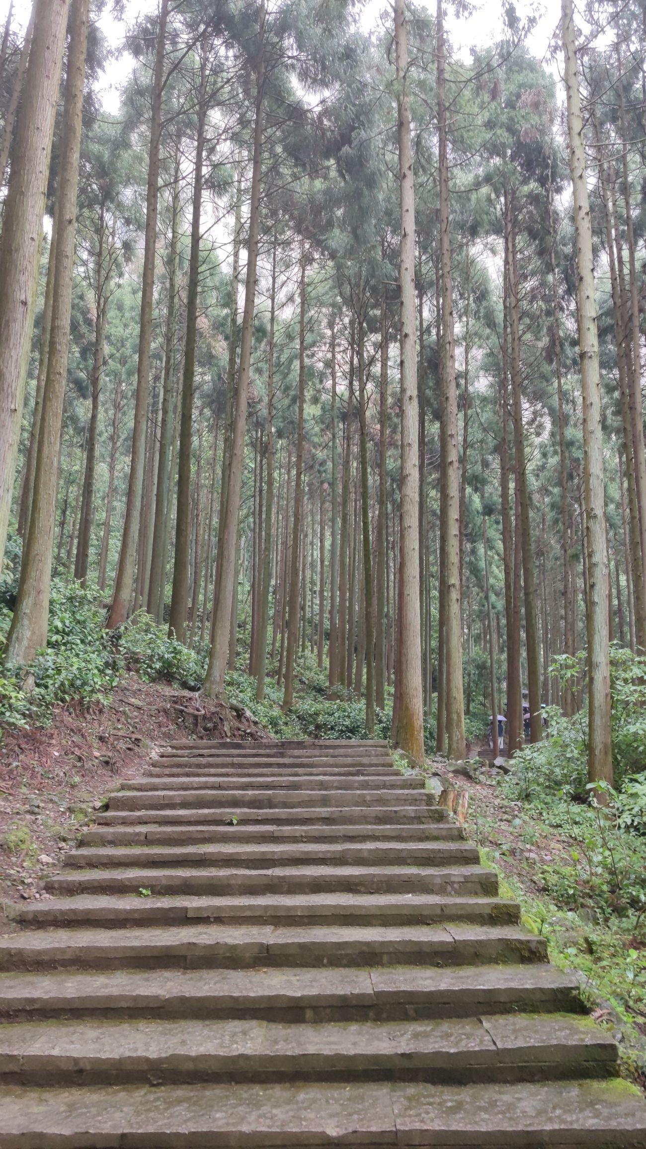 雁荡山风景名胜区旅行图片 1