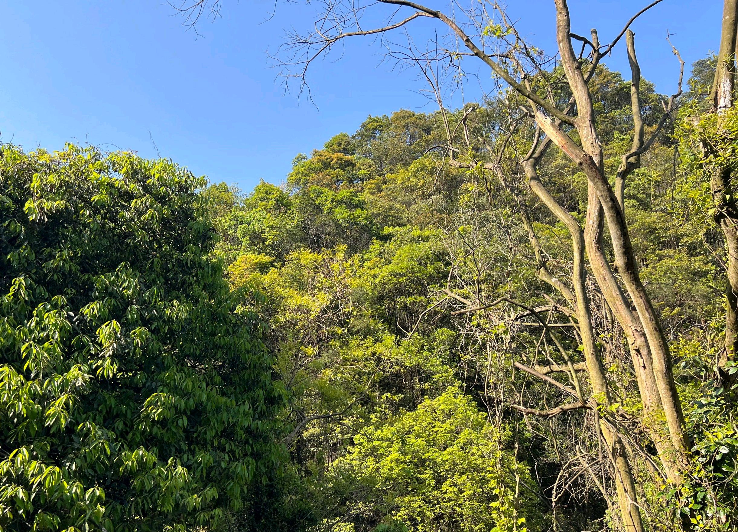 岷前名胜风景区旅行图片 3