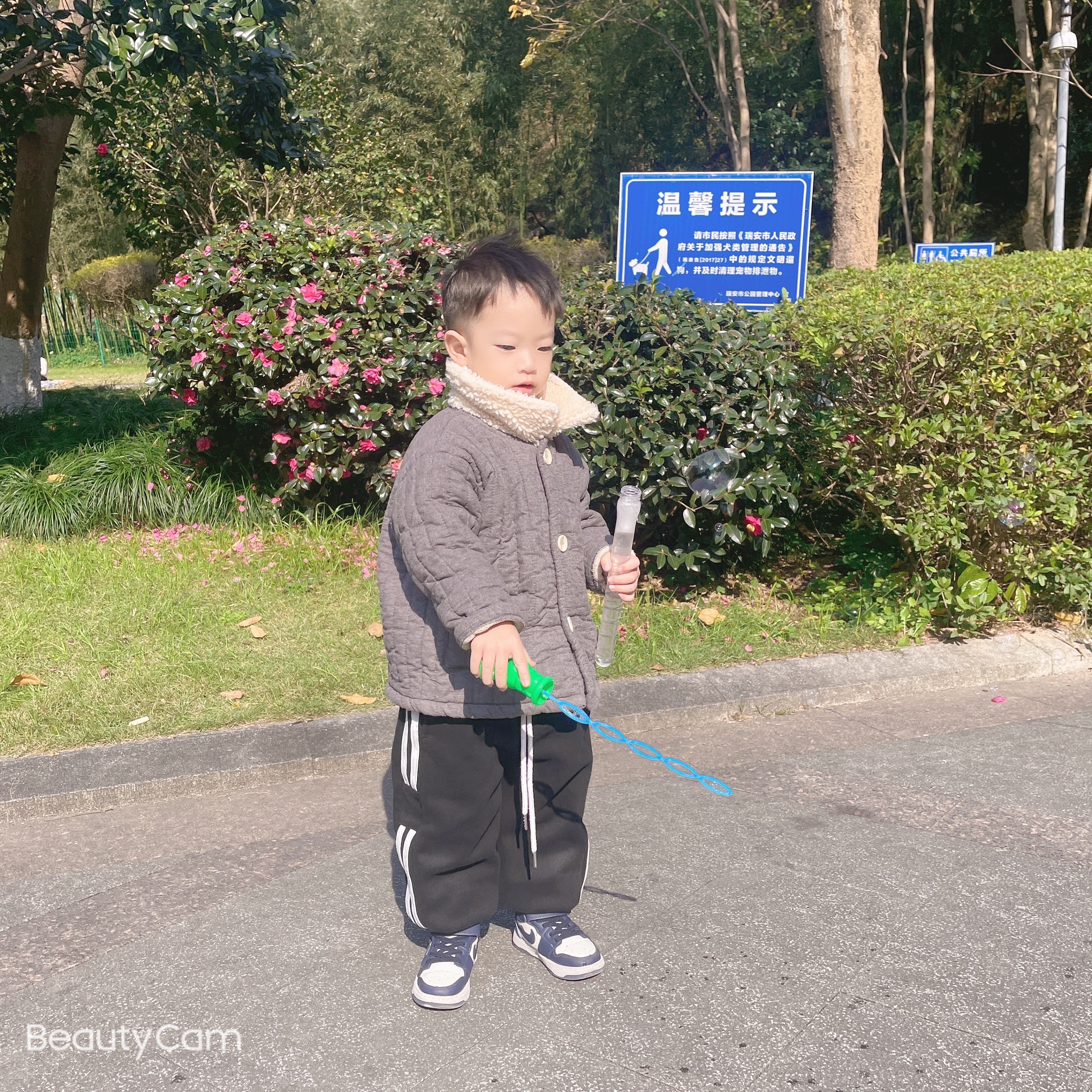 万松山公园旅行图片 1