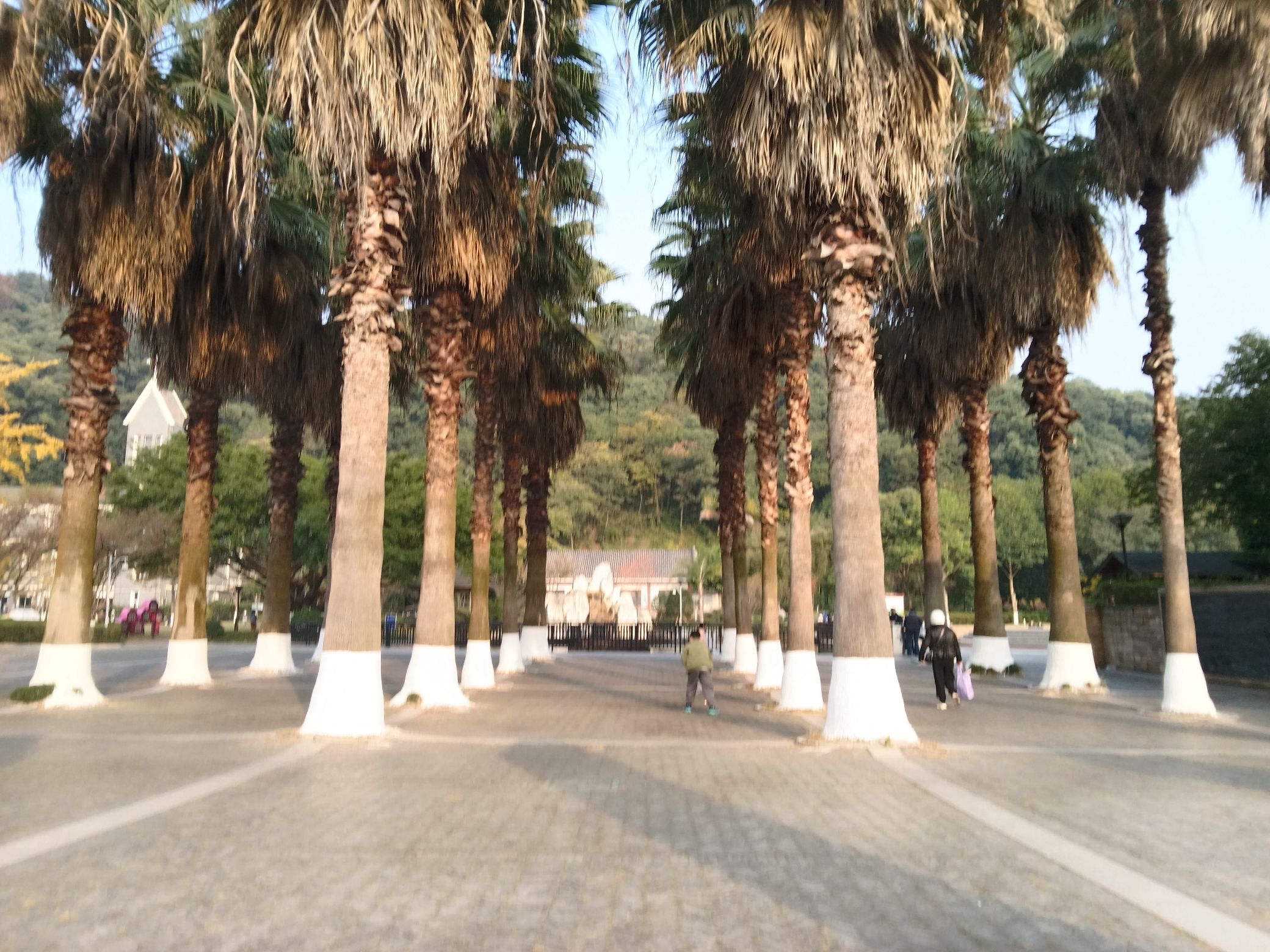 万松山公园旅行图片 2