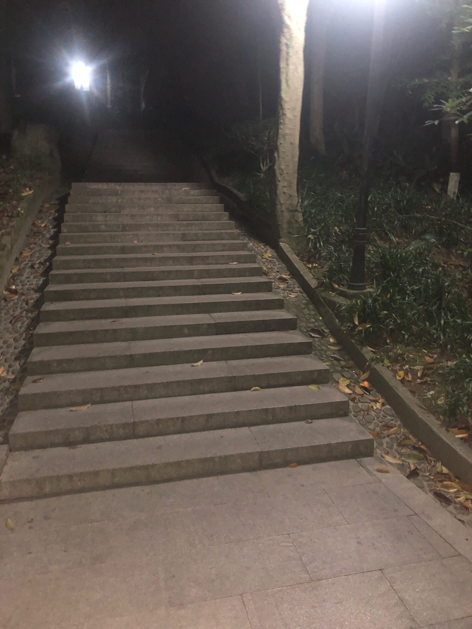 万松山公园旅行图片 3