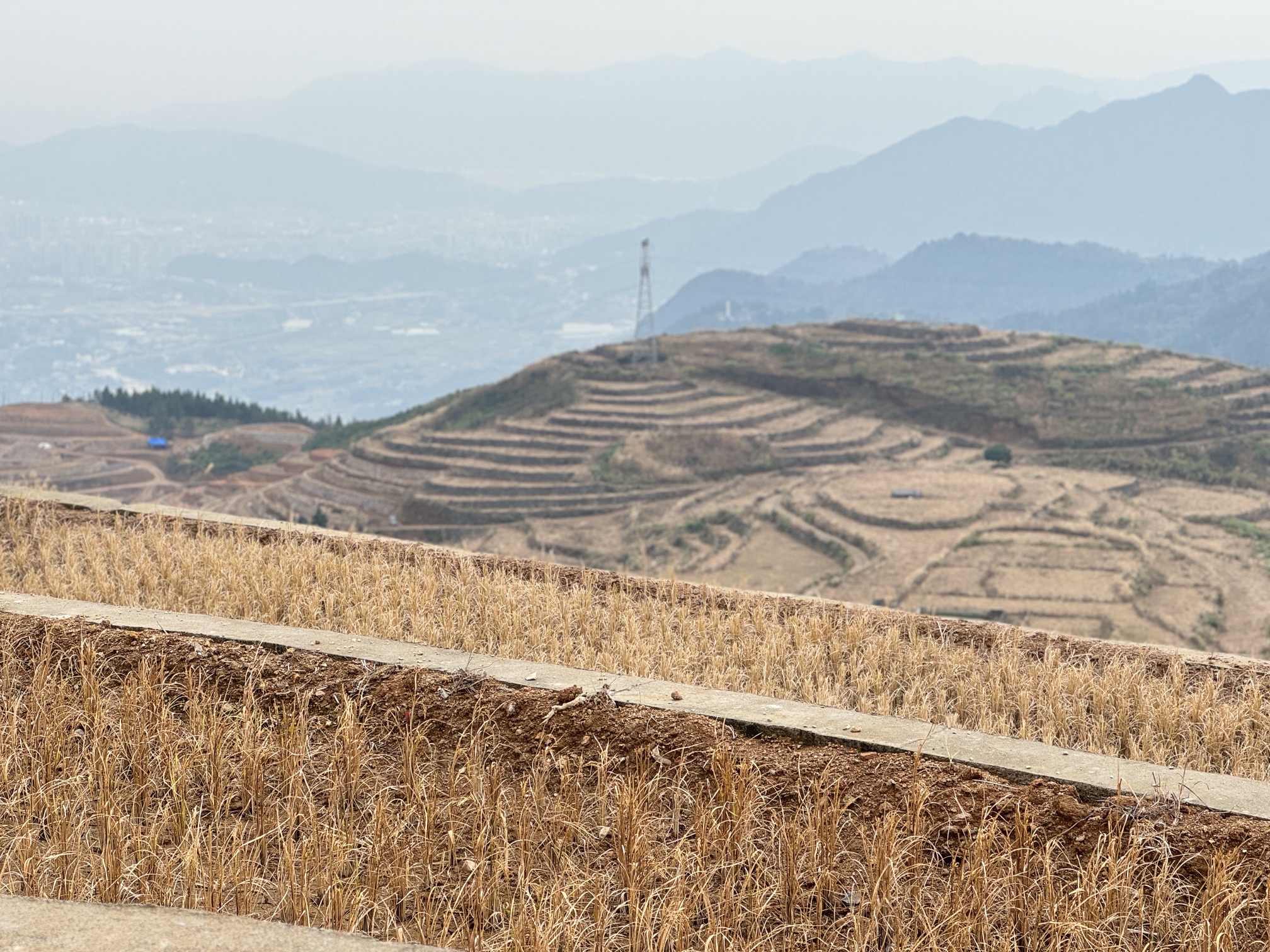 满田森林公园旅行图片 3