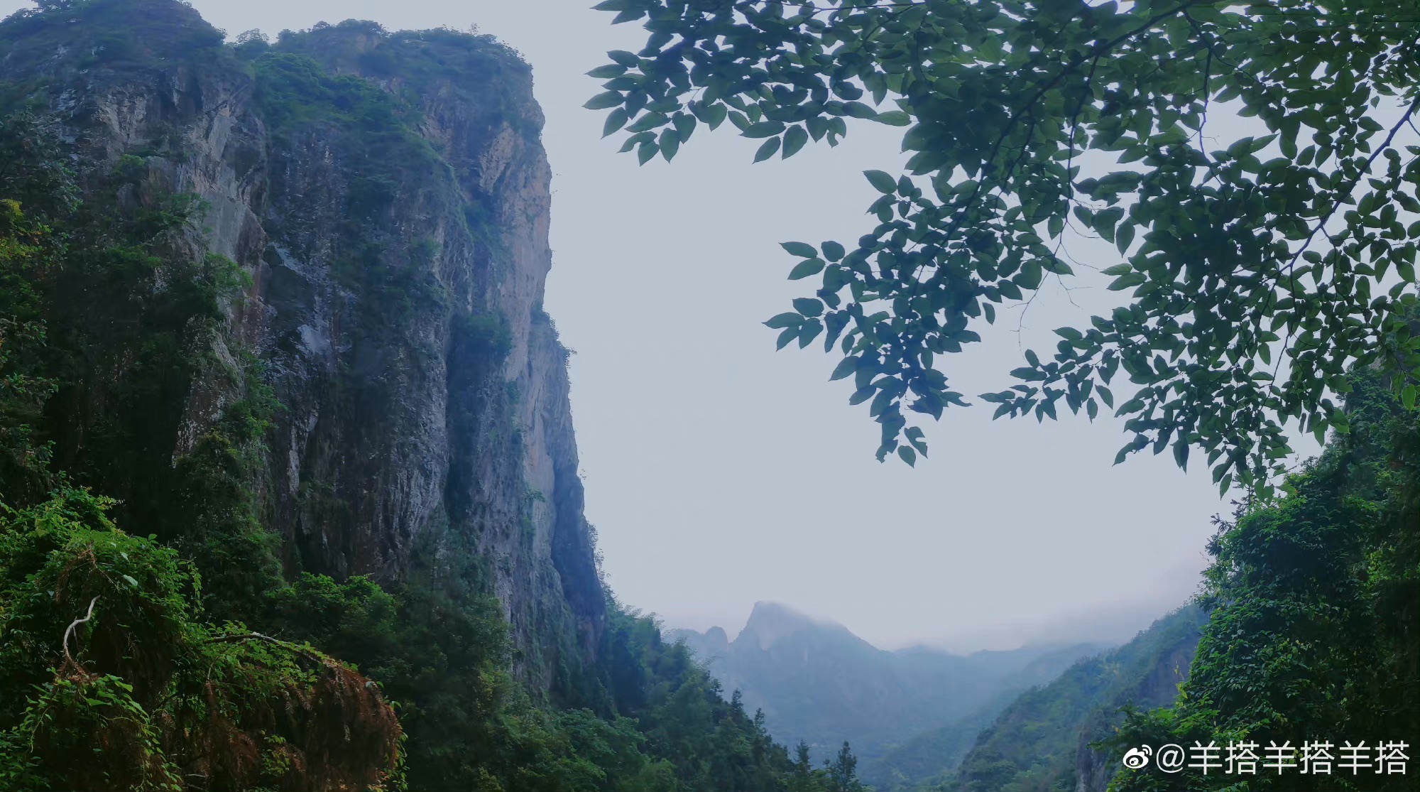 天露谷瀑布旅行图片 3
