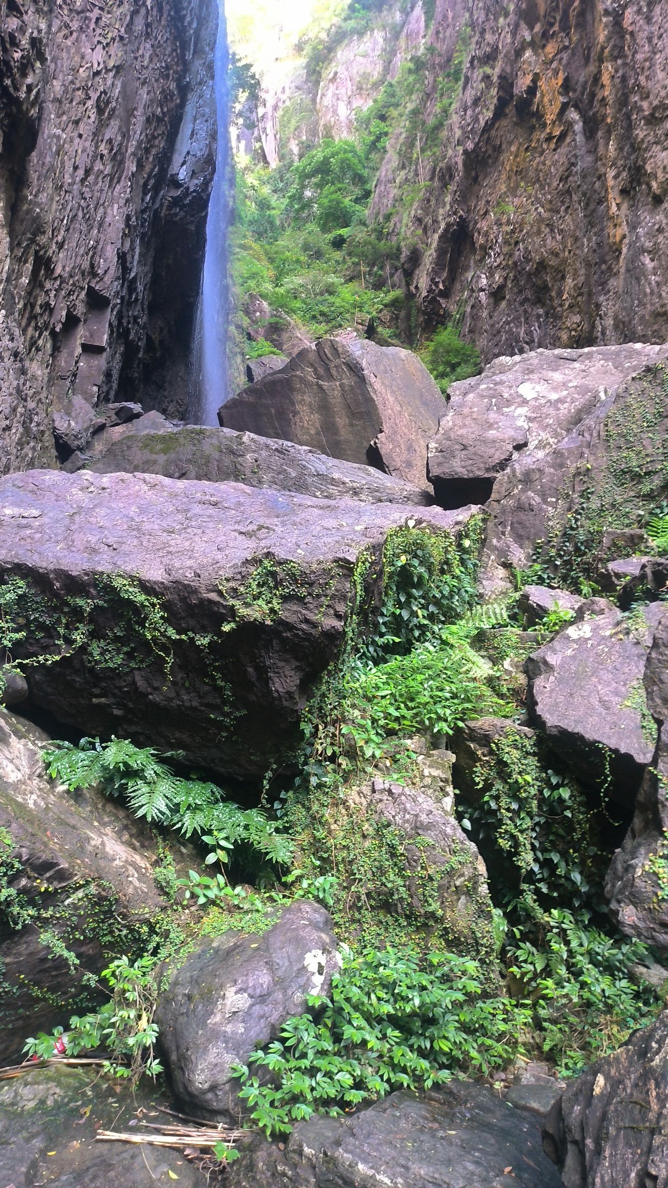 天露谷瀑布旅行图片 2
