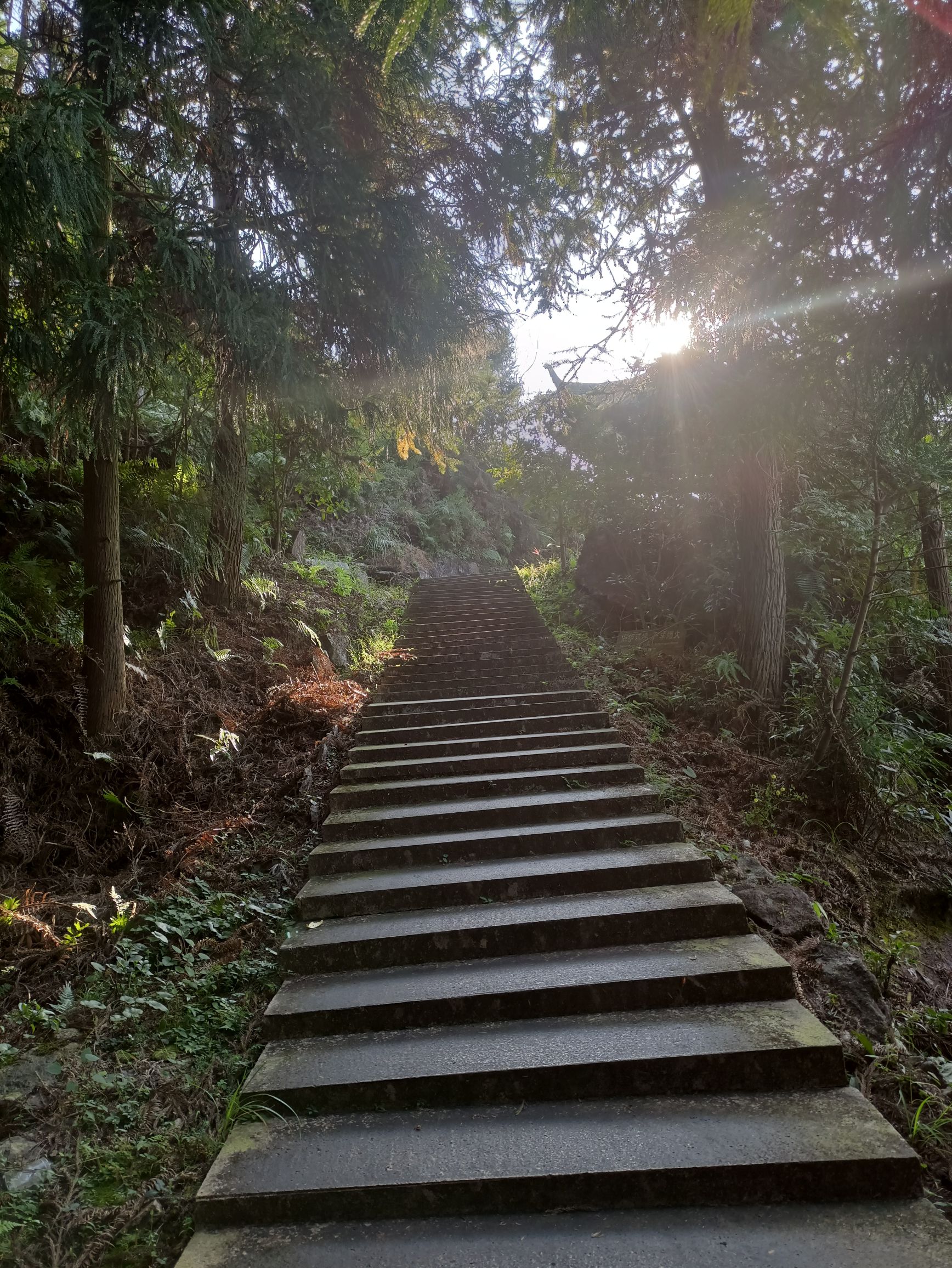 灵山顶景区旅行图片 2