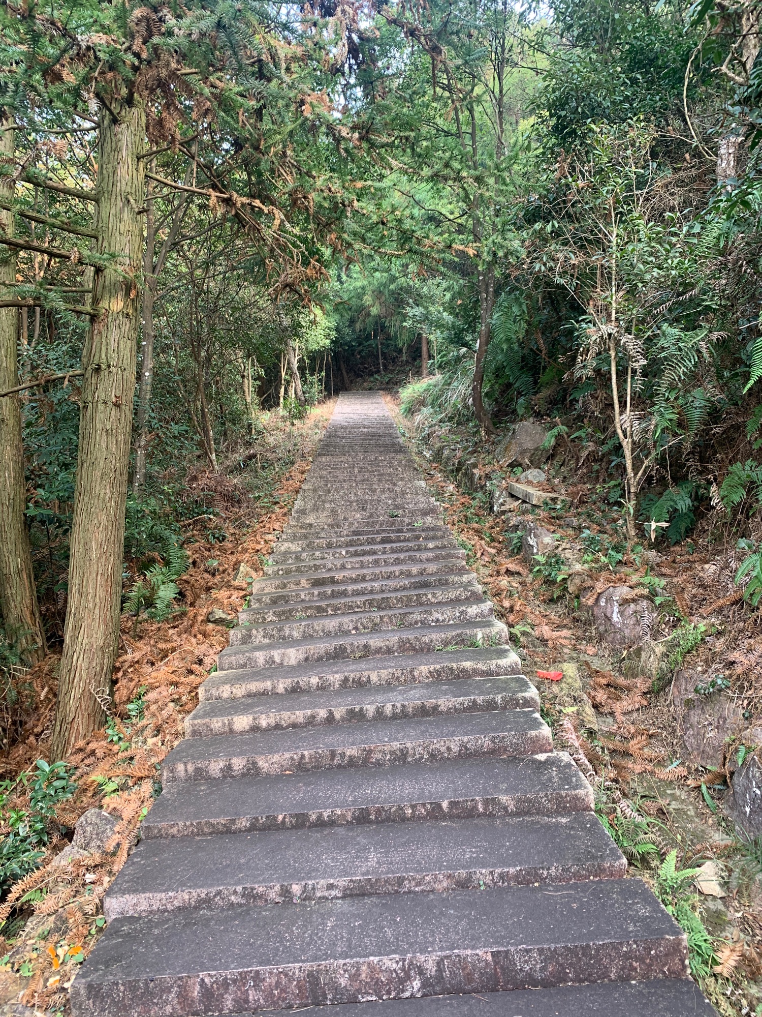 灵山顶景区旅行图片 3