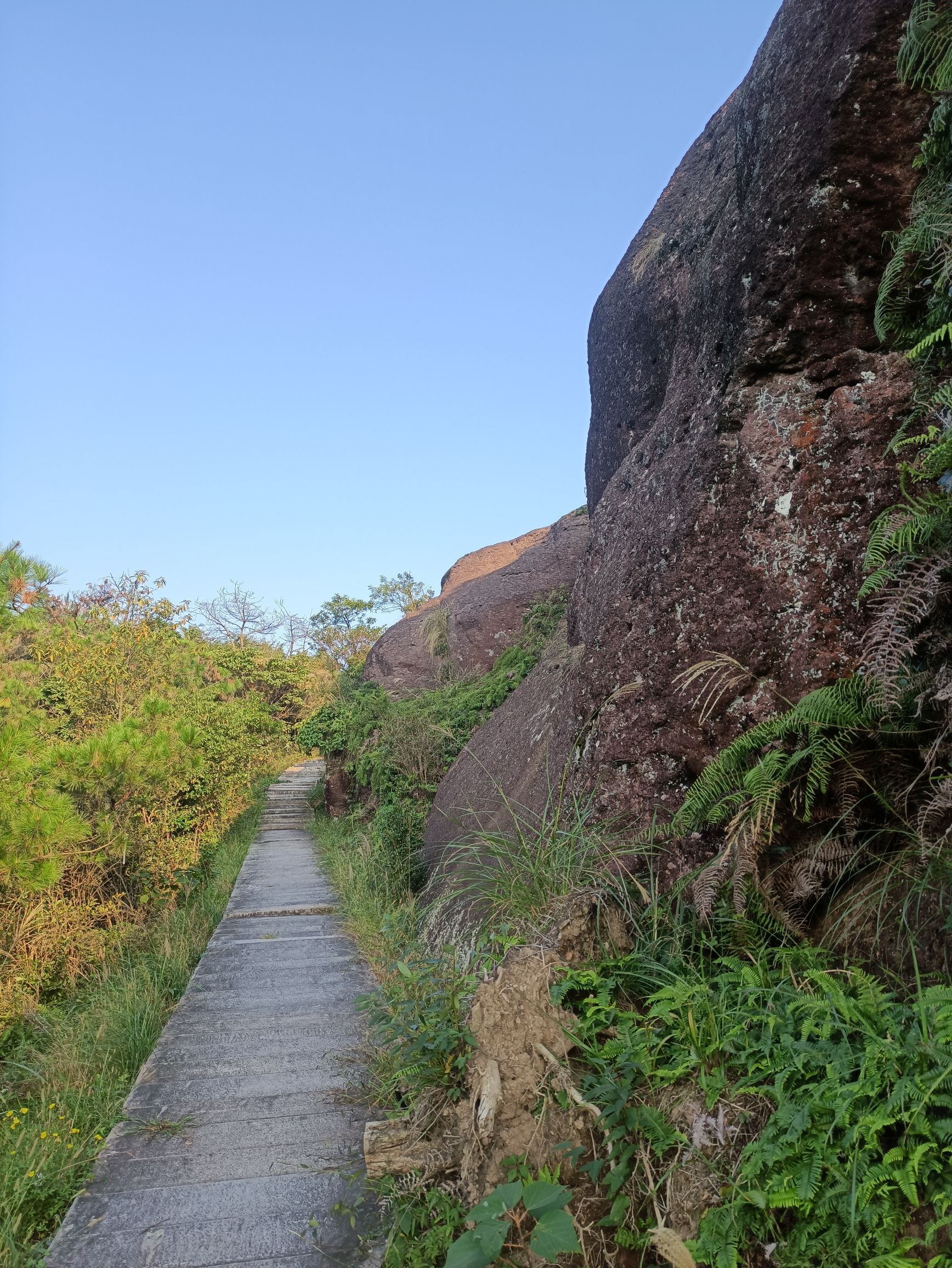 灵山顶景区旅行图片 3