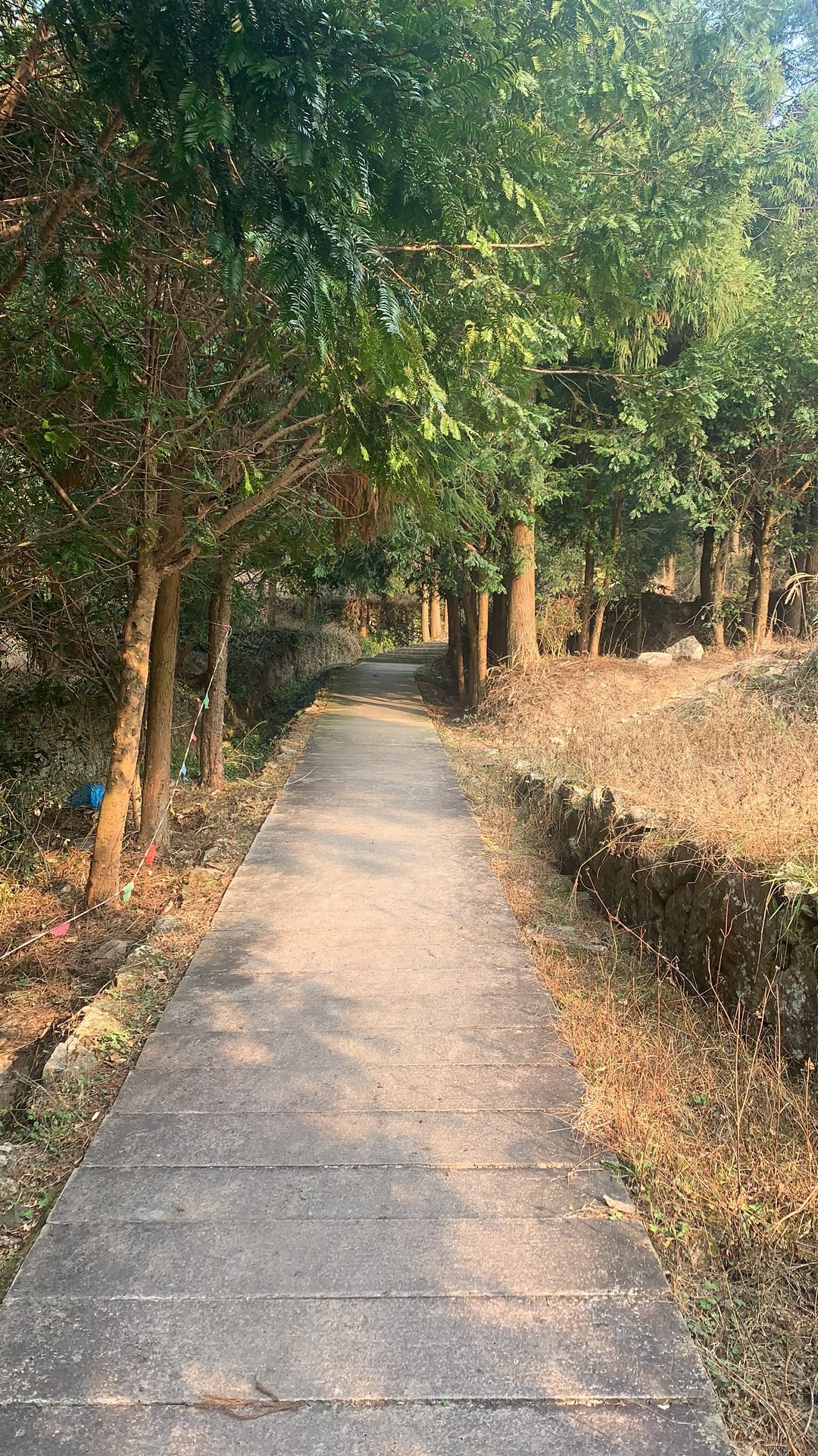 灵山顶景区旅行图片 1