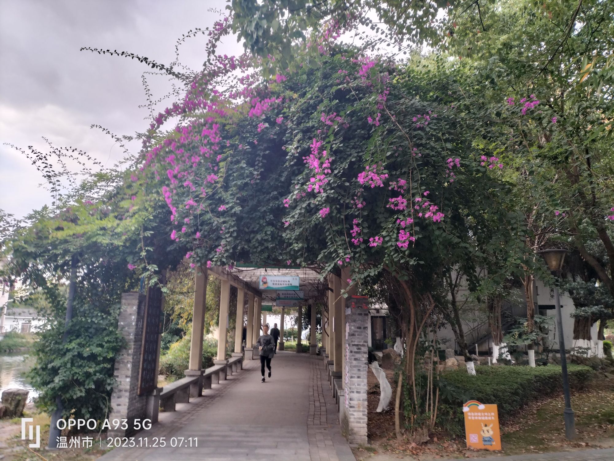 鳌江公园旅行图片 2