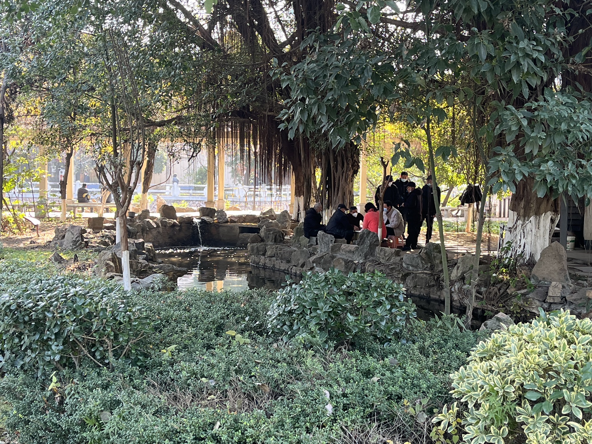 鳌江公园旅行图片 3