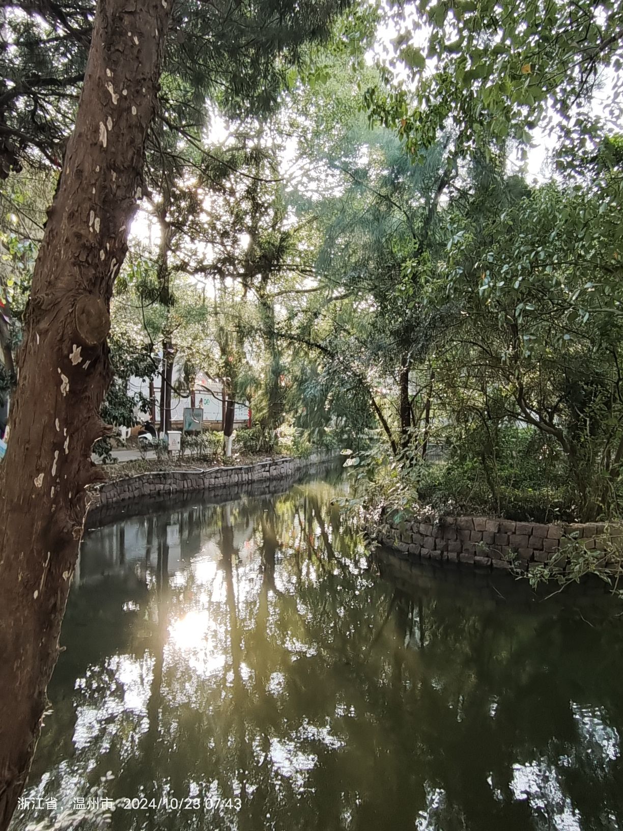 江南梦园旅行图片 1