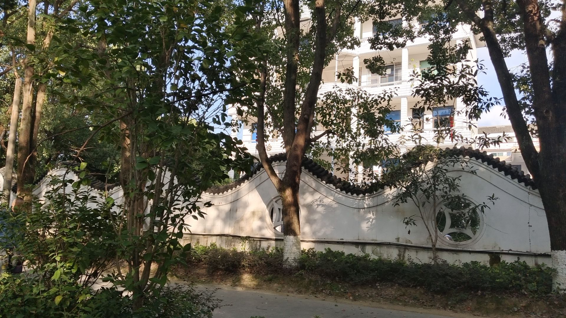 江南梦园旅行图片 3